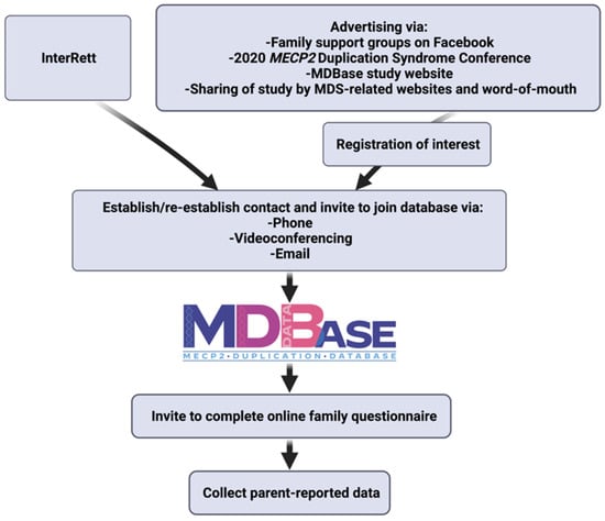 Children | Free Full-Text | Medical Comorbidities in MECP2 Duplication  Syndrome: Results from the International MECP2 Duplication Database