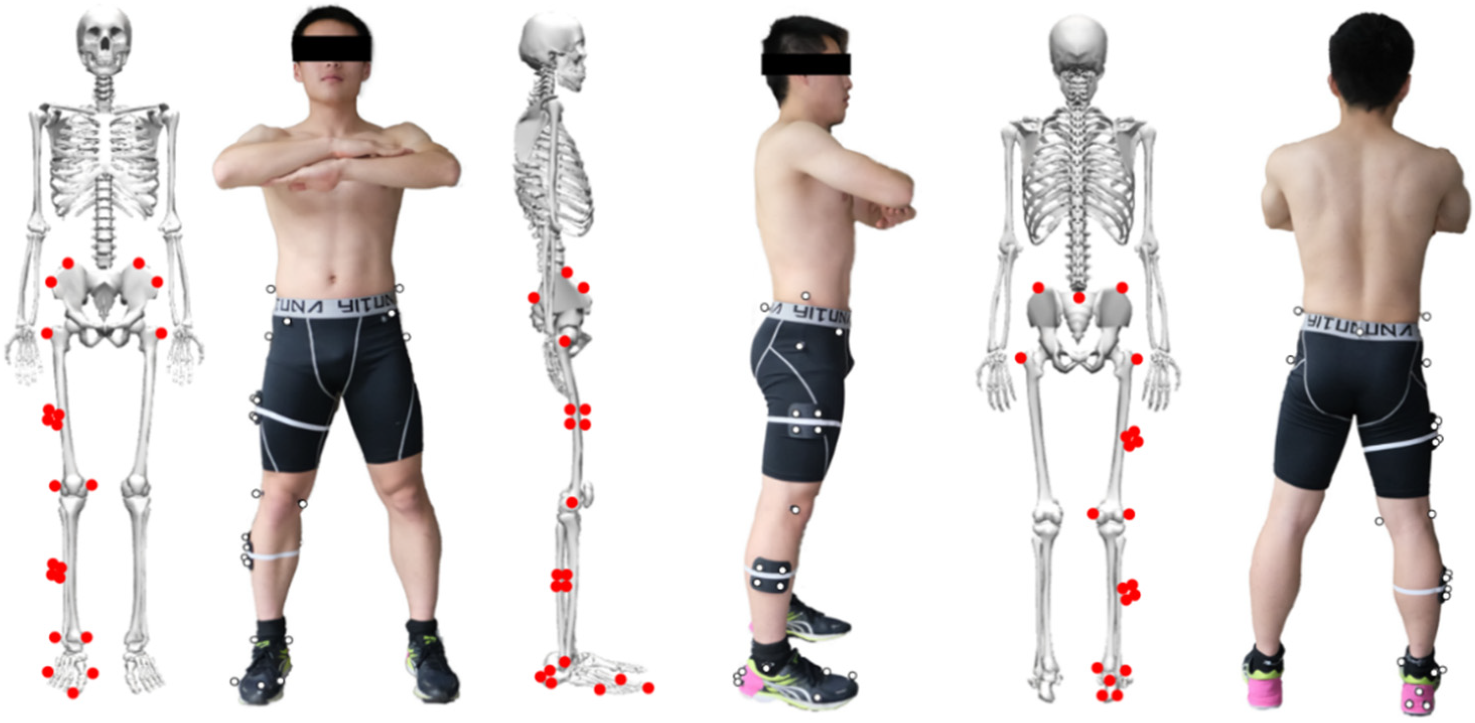 Children | Free Full-Text | The Influence of Different Rope Jumping Methods  on Adolescents&rsquo; Lower Limb Biomechanics during the Ground-Contact  Phase