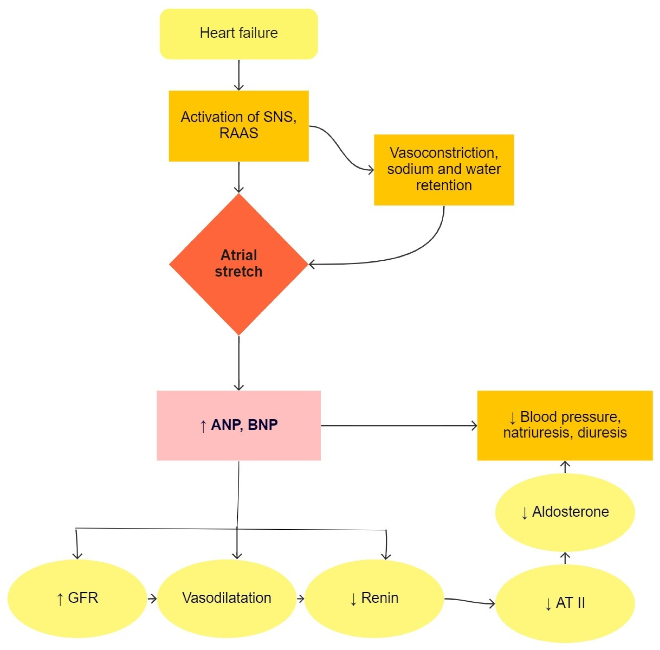 Children 09 00740 g001 Children 09 00740 g001