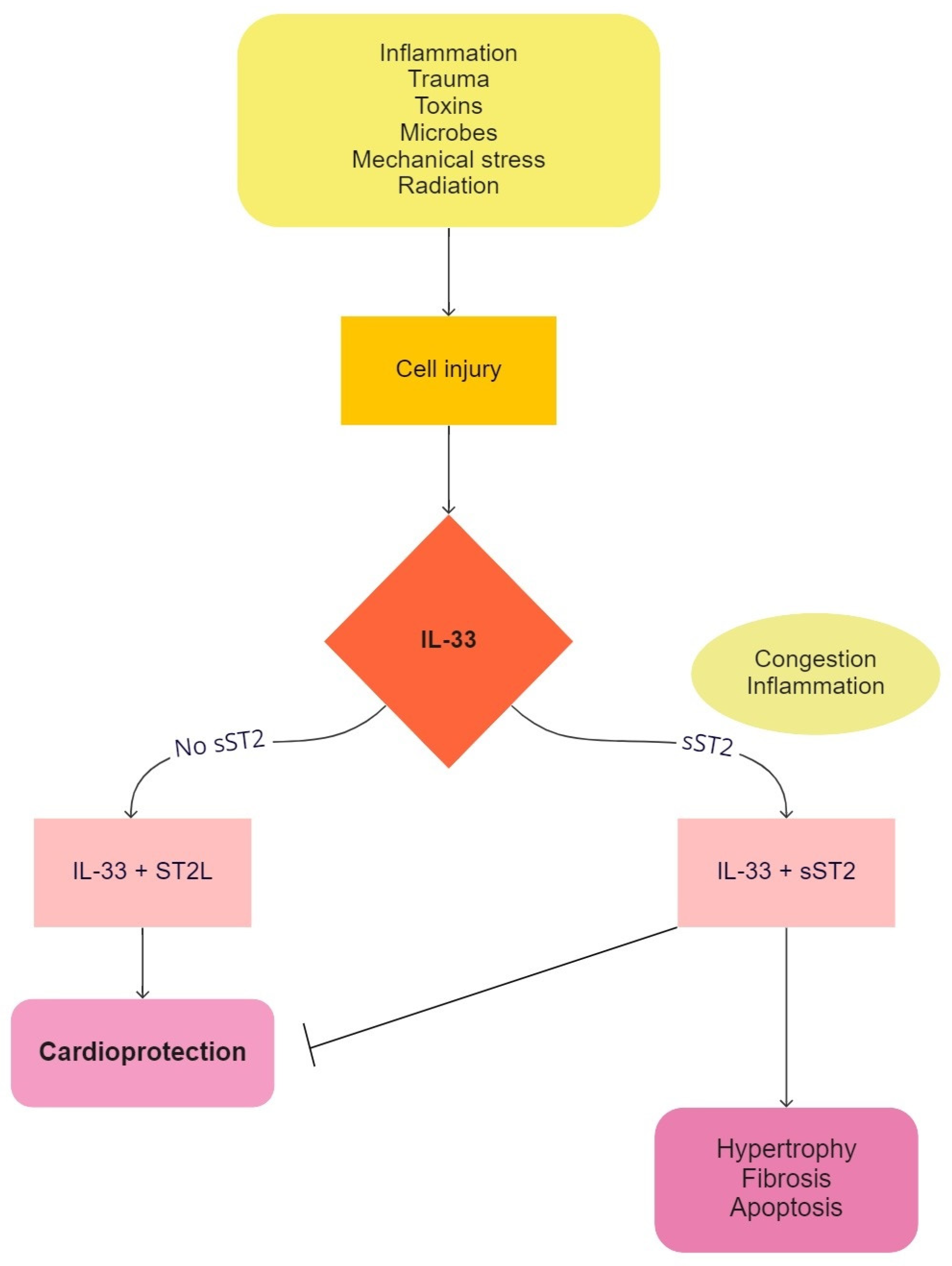 Children 09 00740 g002 Children 09 00740 g002