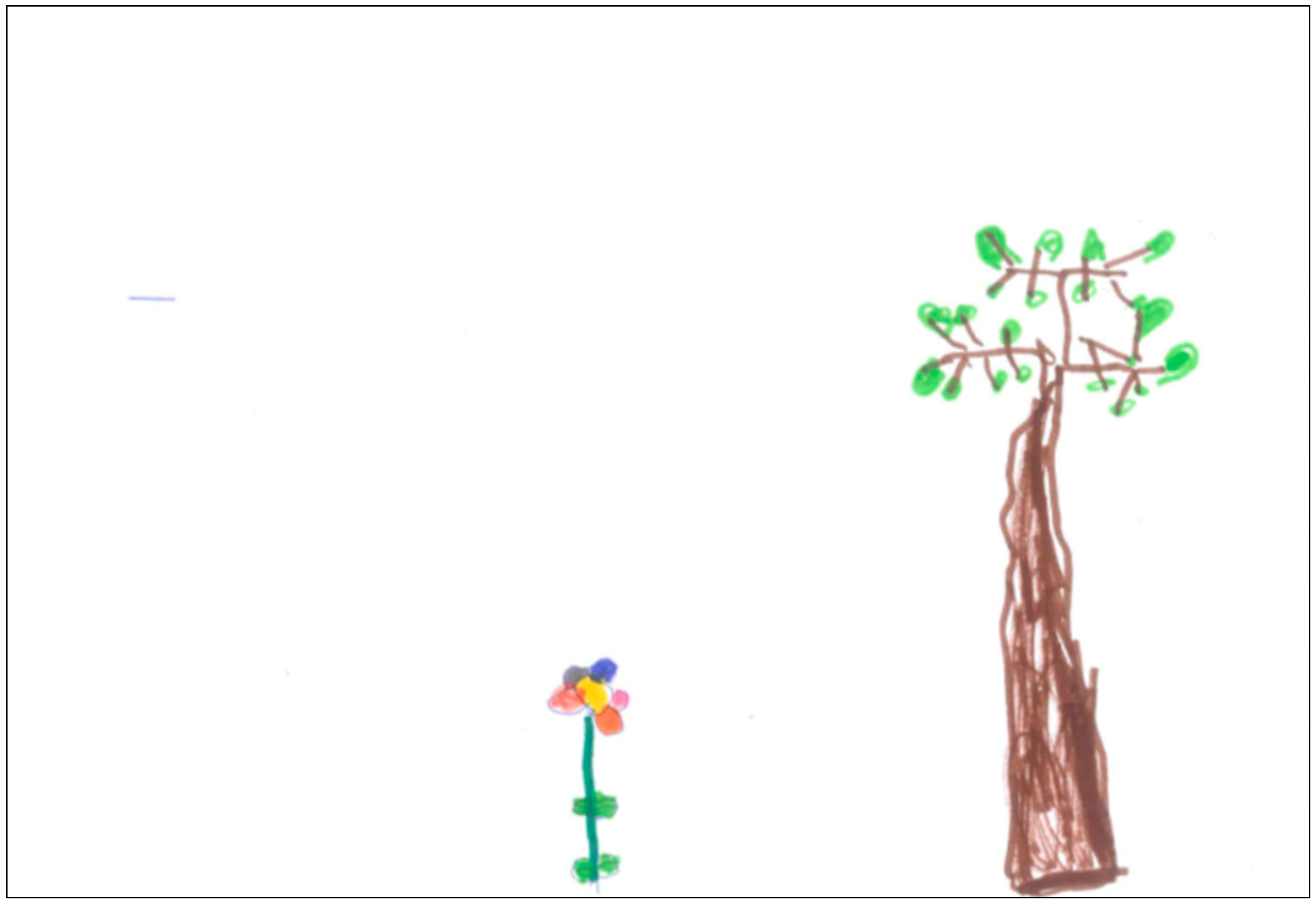 plant drawings for kids