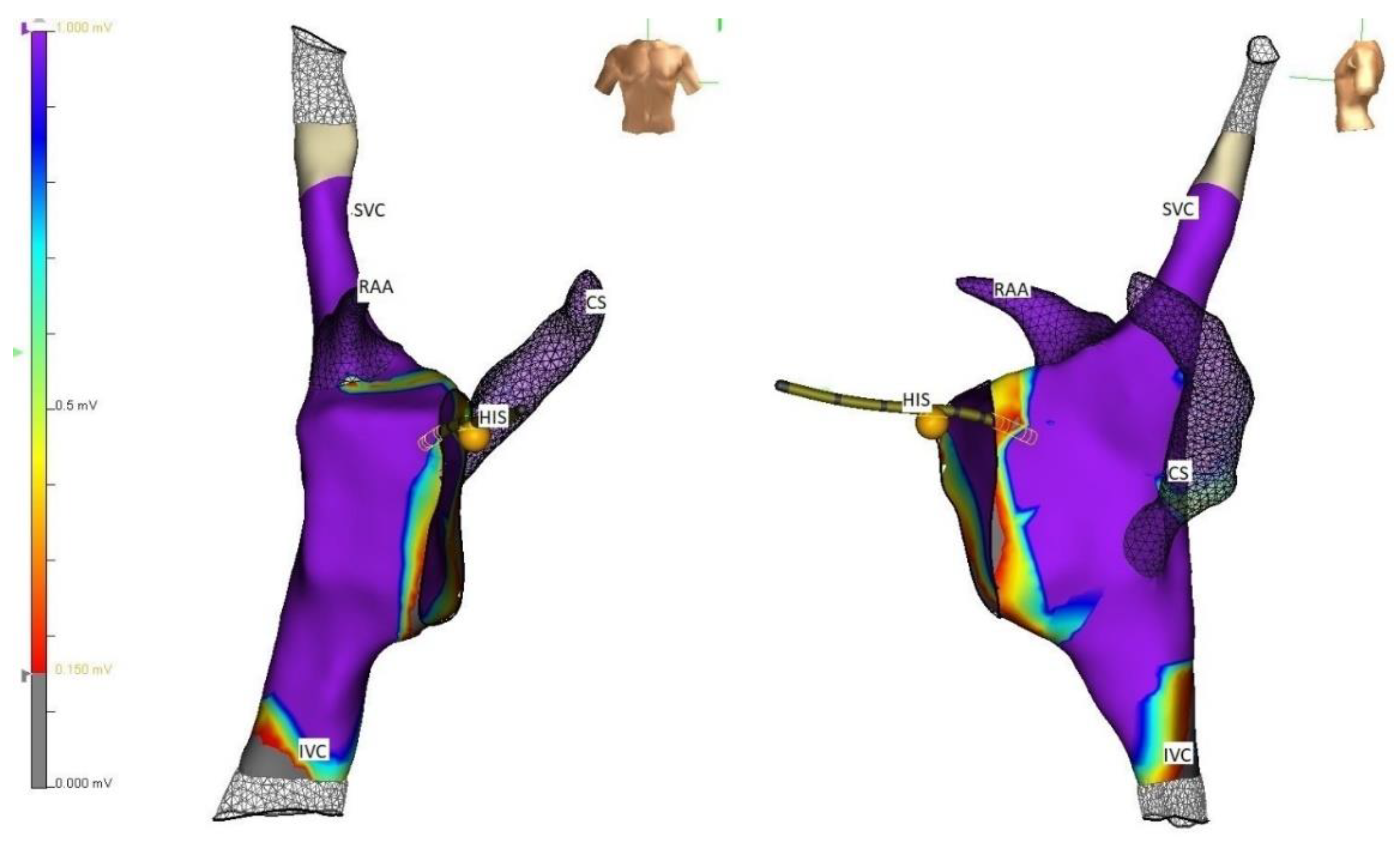 Children 09 00866 g001