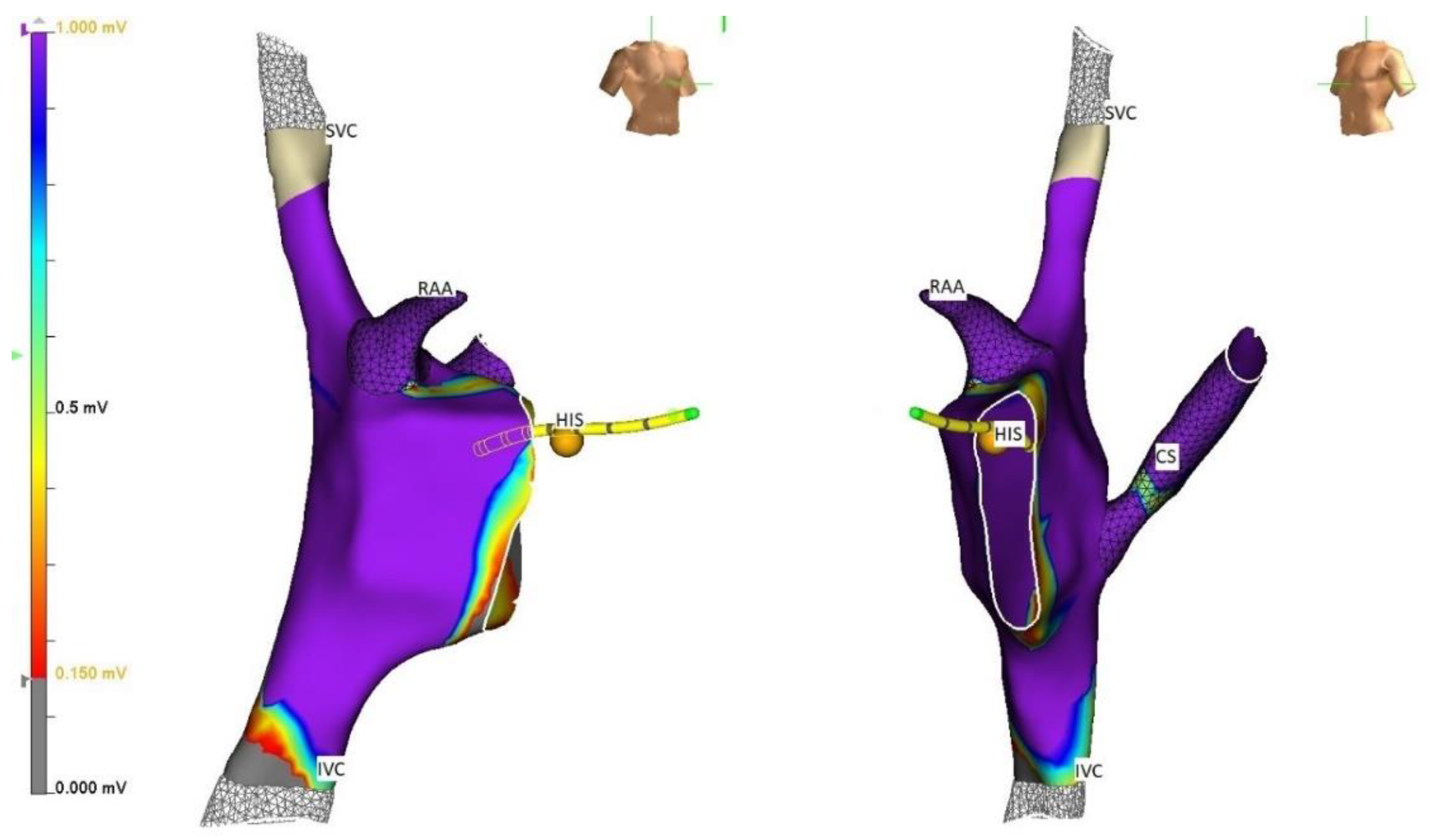 Children 09 00866 g002