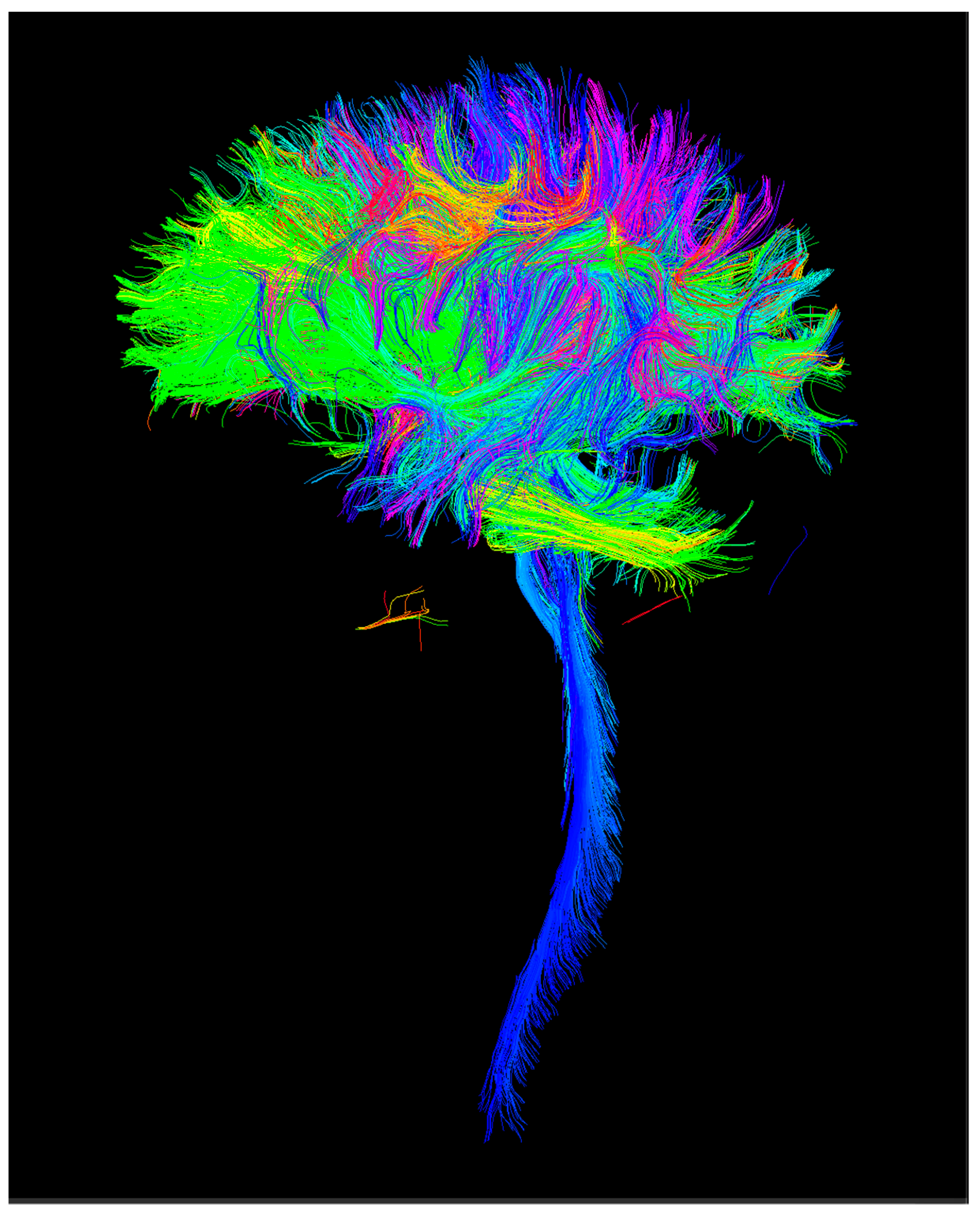 Children 09 01023 g004