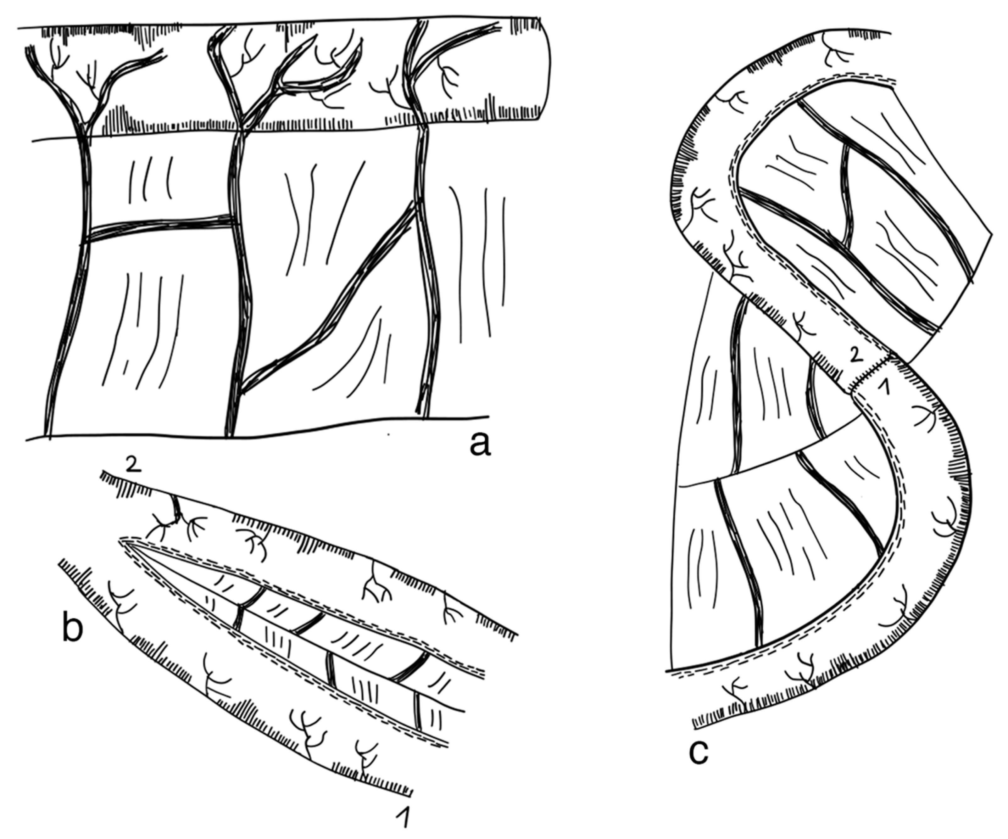 Children 09 01024 g003