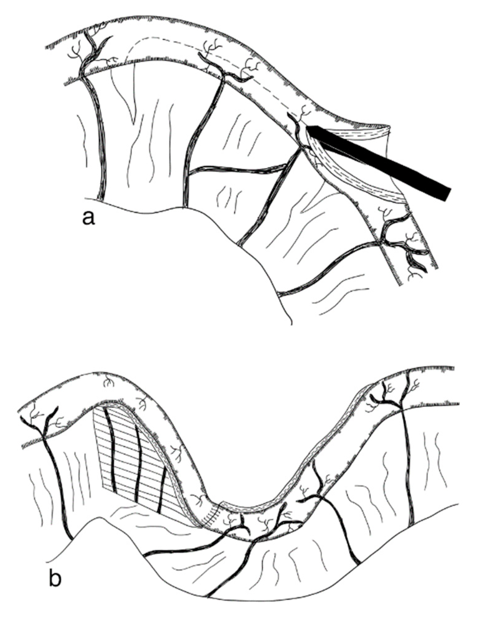 Children 09 01024 g004