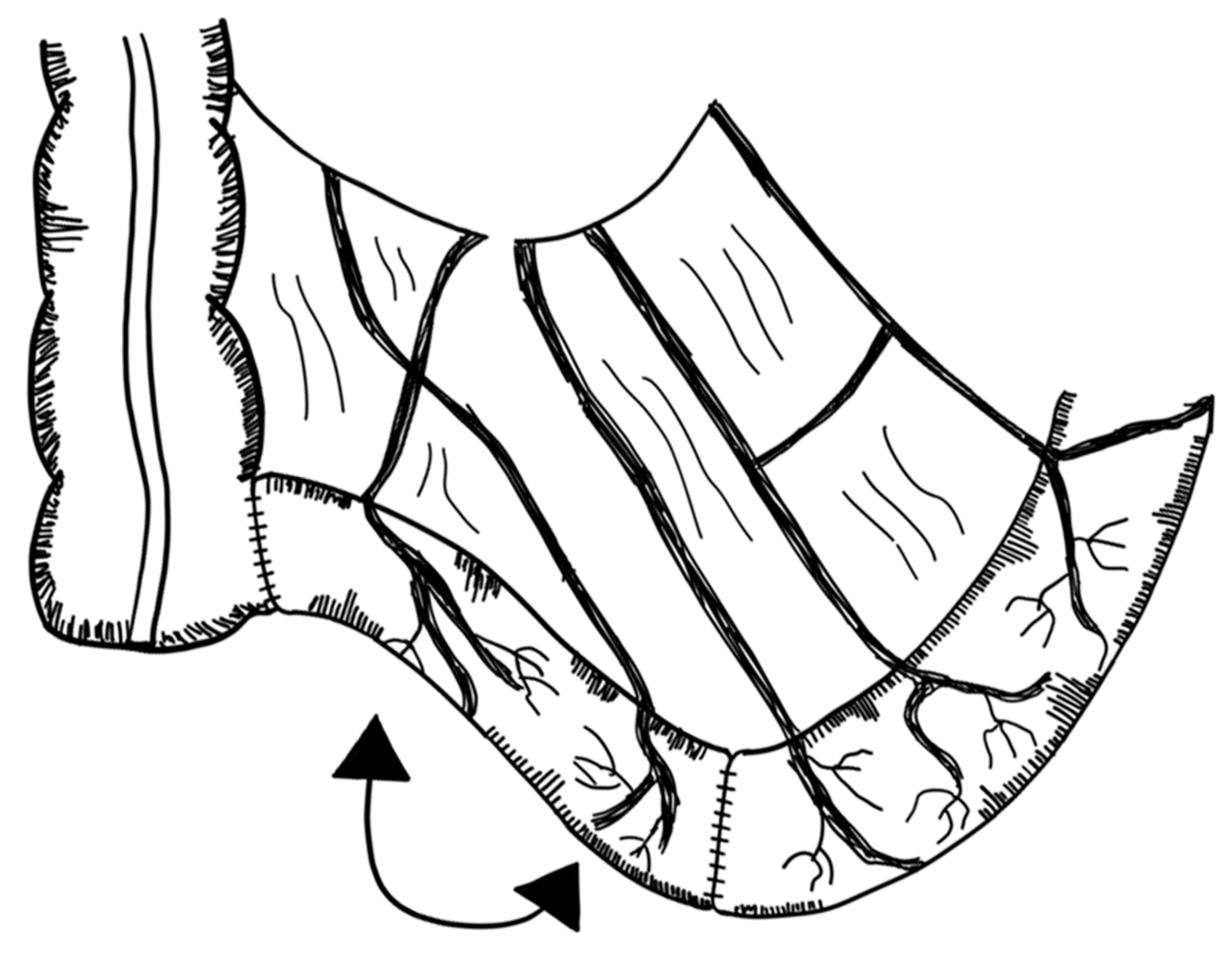 Children 09 01024 g011