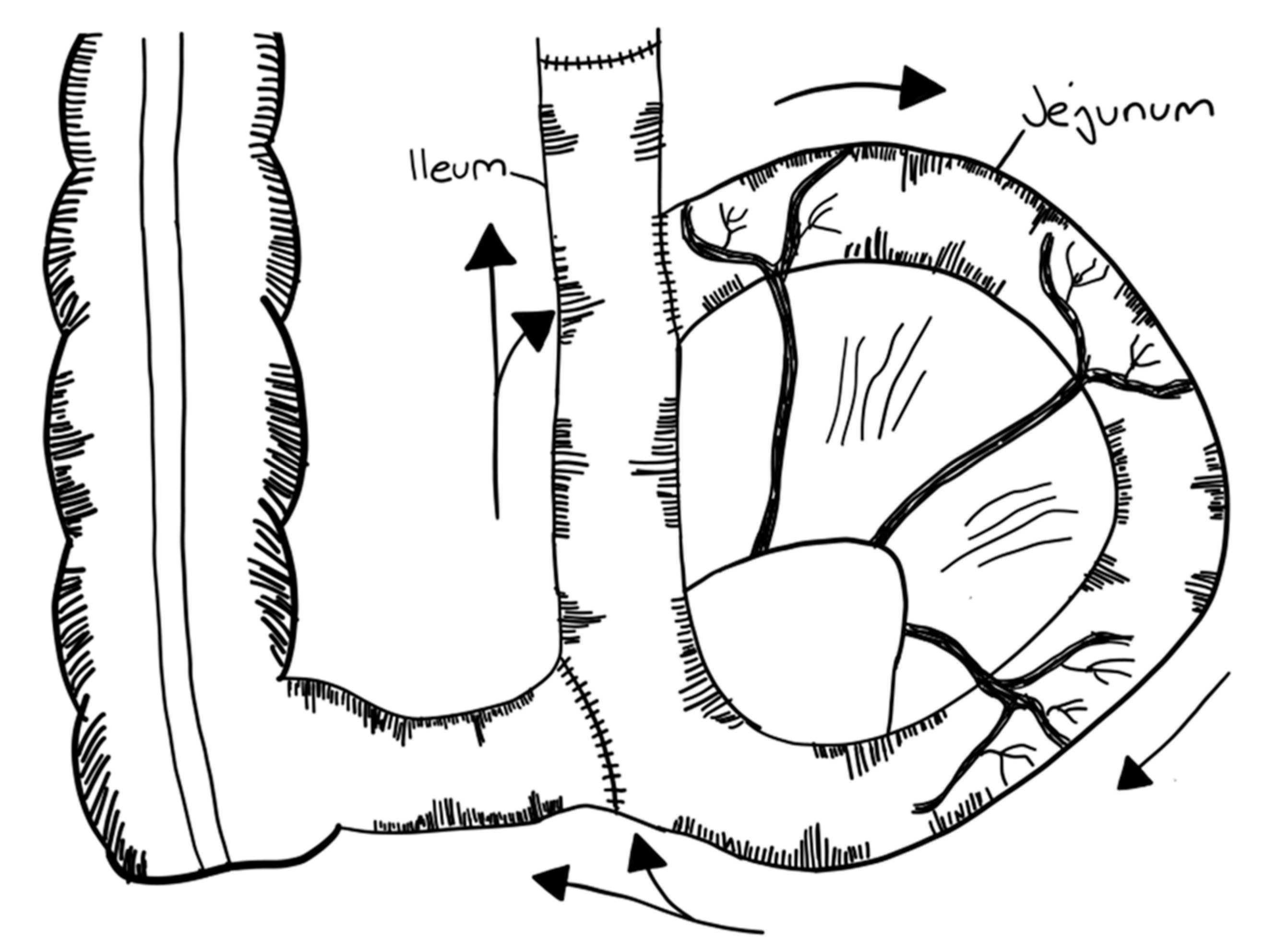 Children 09 01024 g014