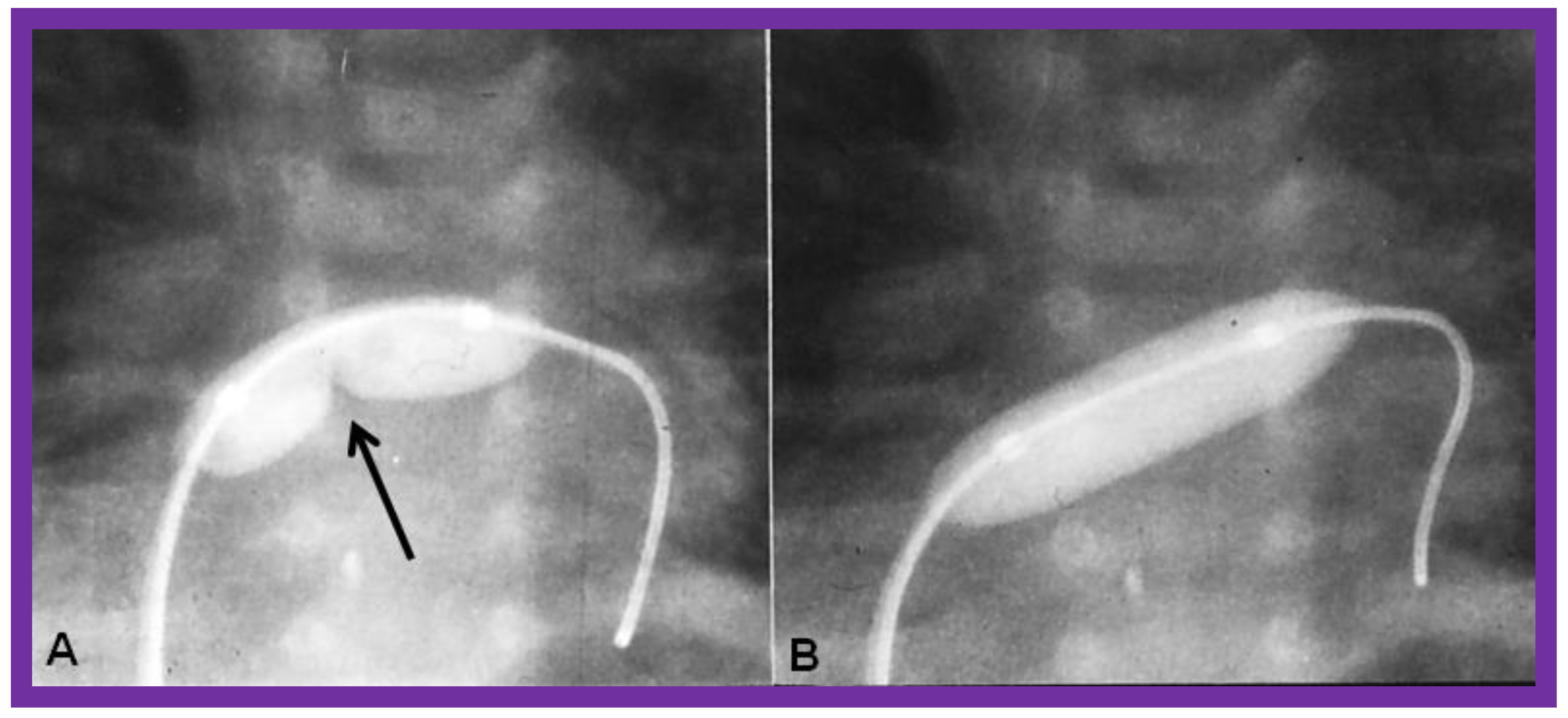 Children 09 01148 g004