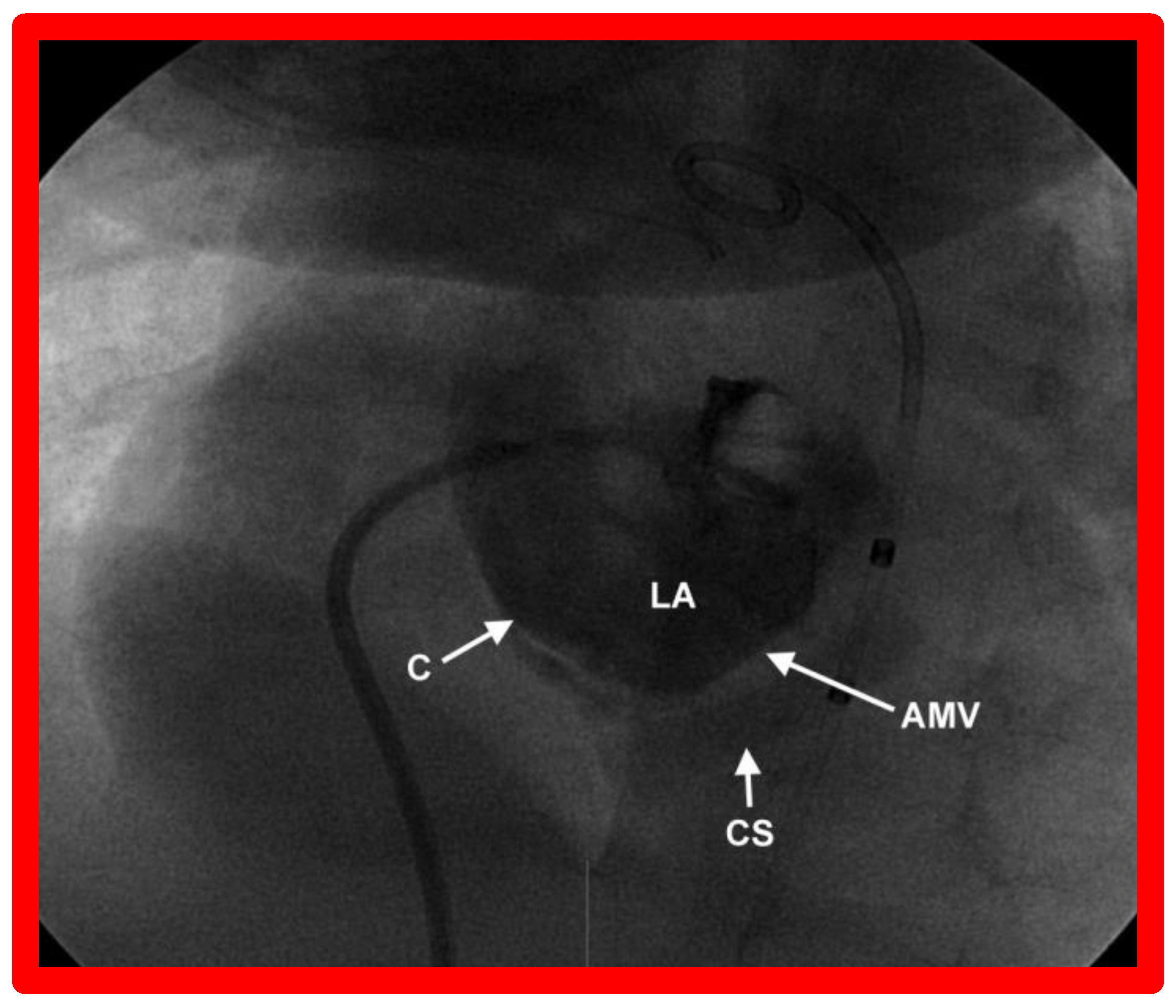 Children 09 01148 g006