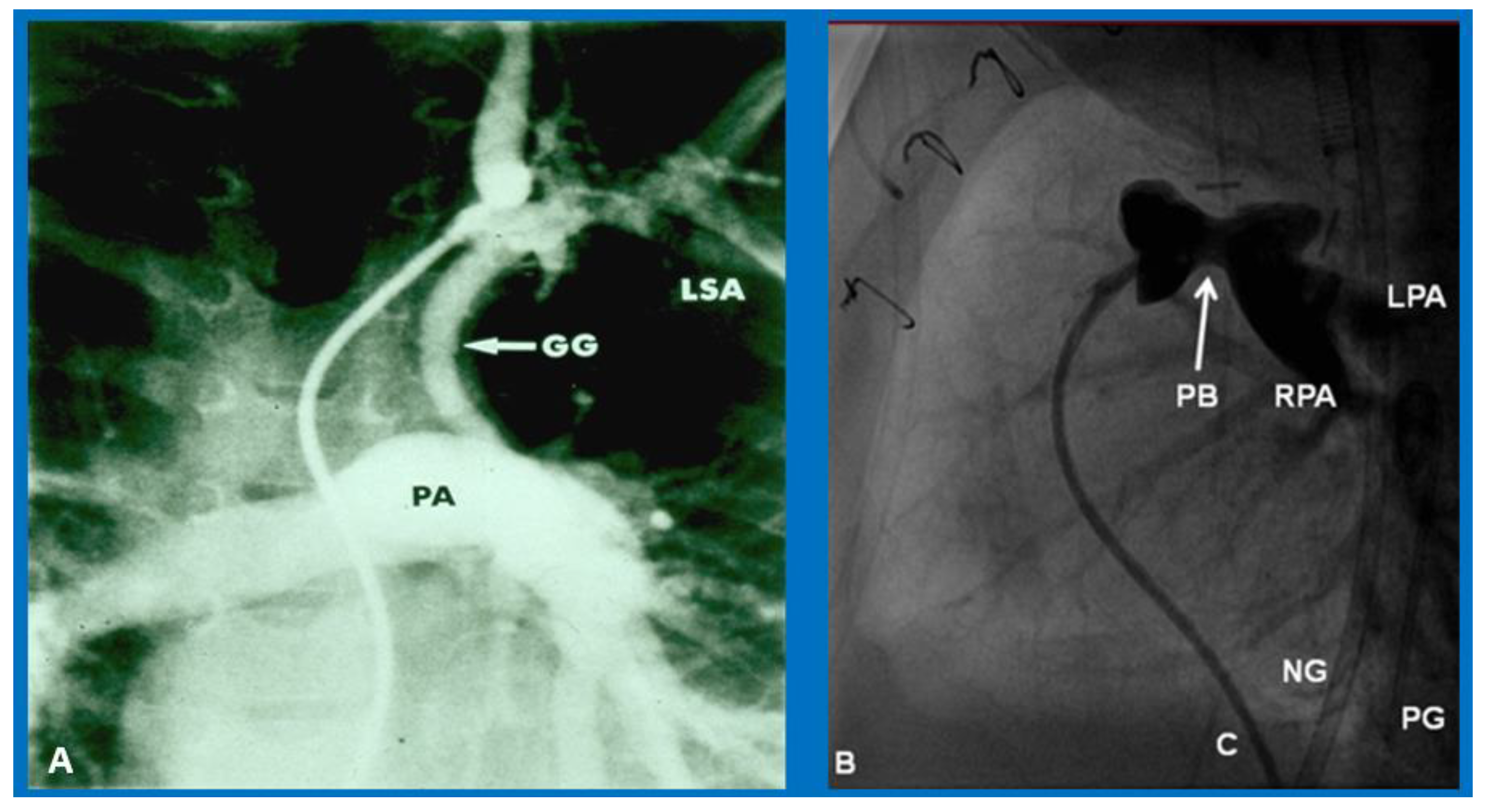 Children 09 01148 g009