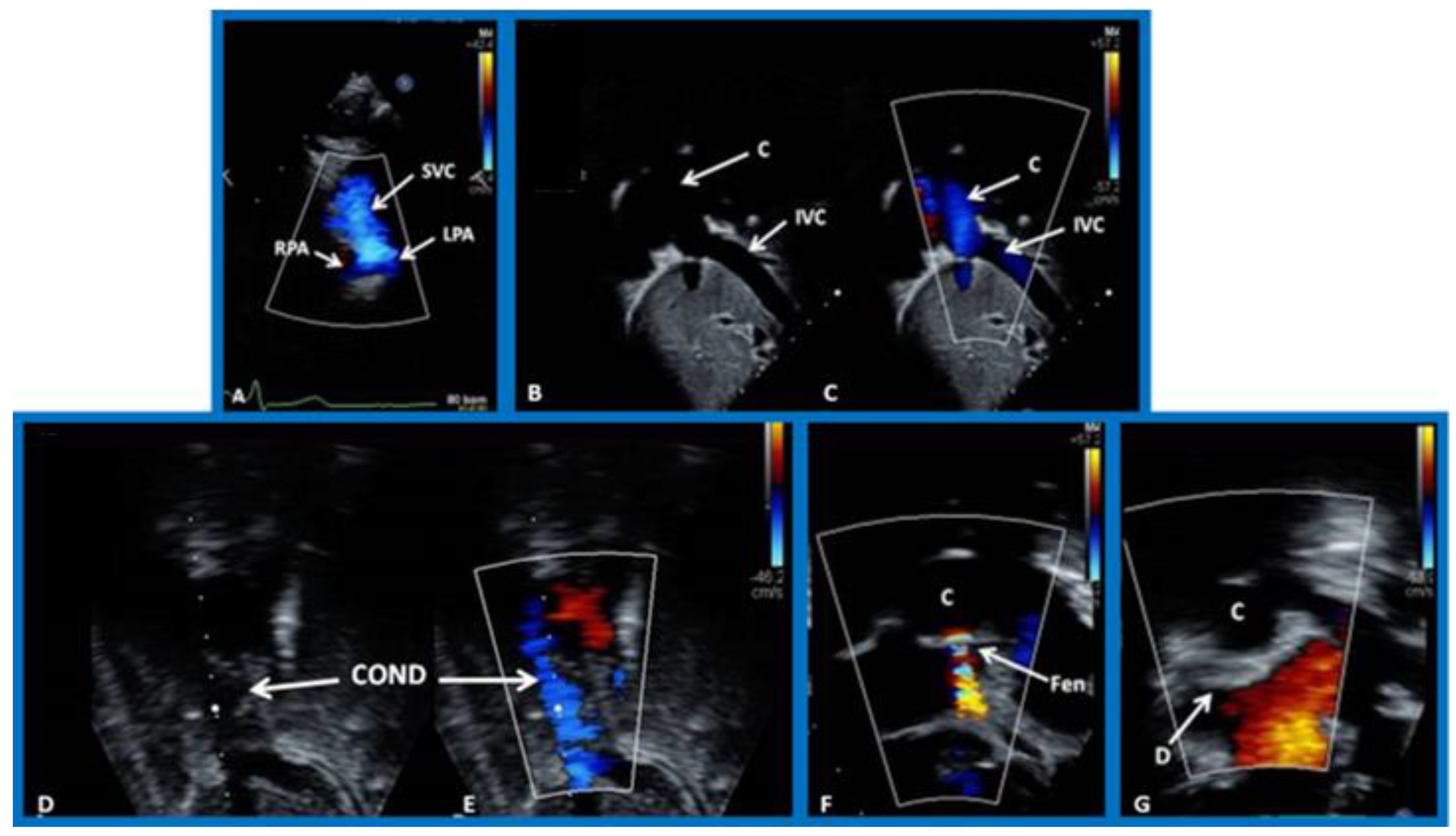 Children 09 01148 g013