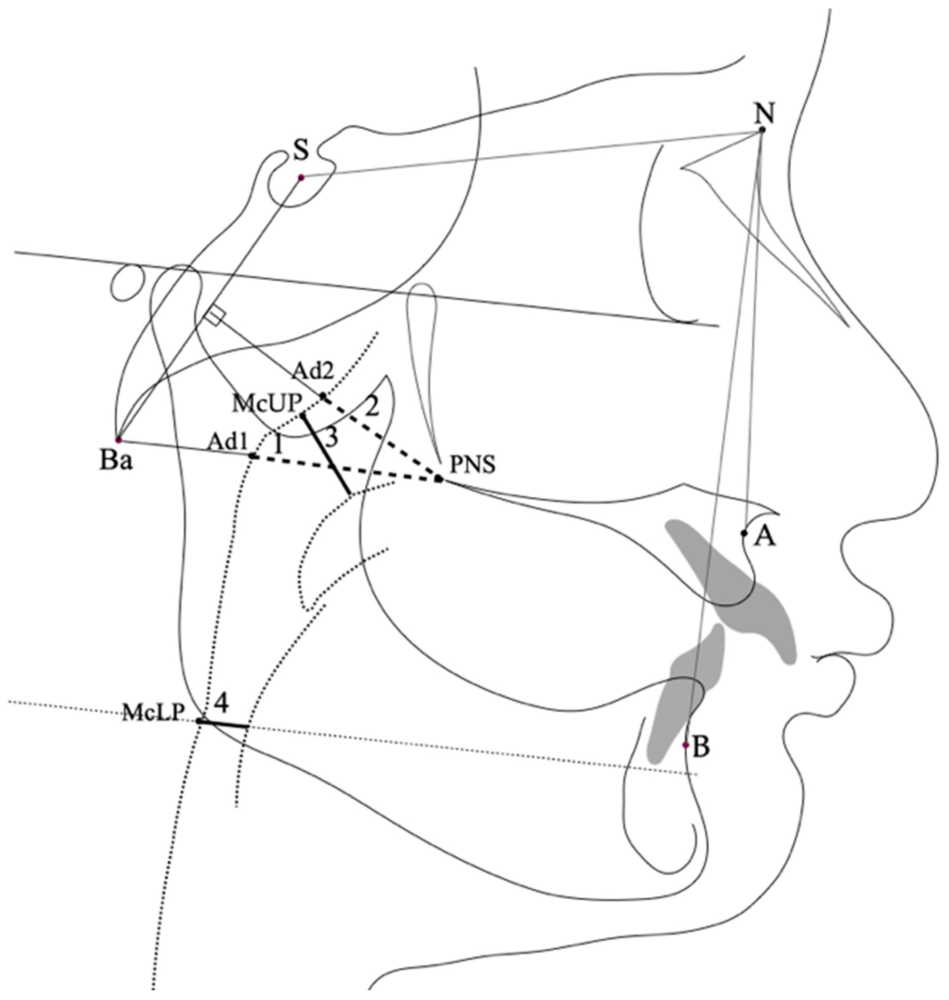 Children 09 01163 g002 Children 09 01163 g002