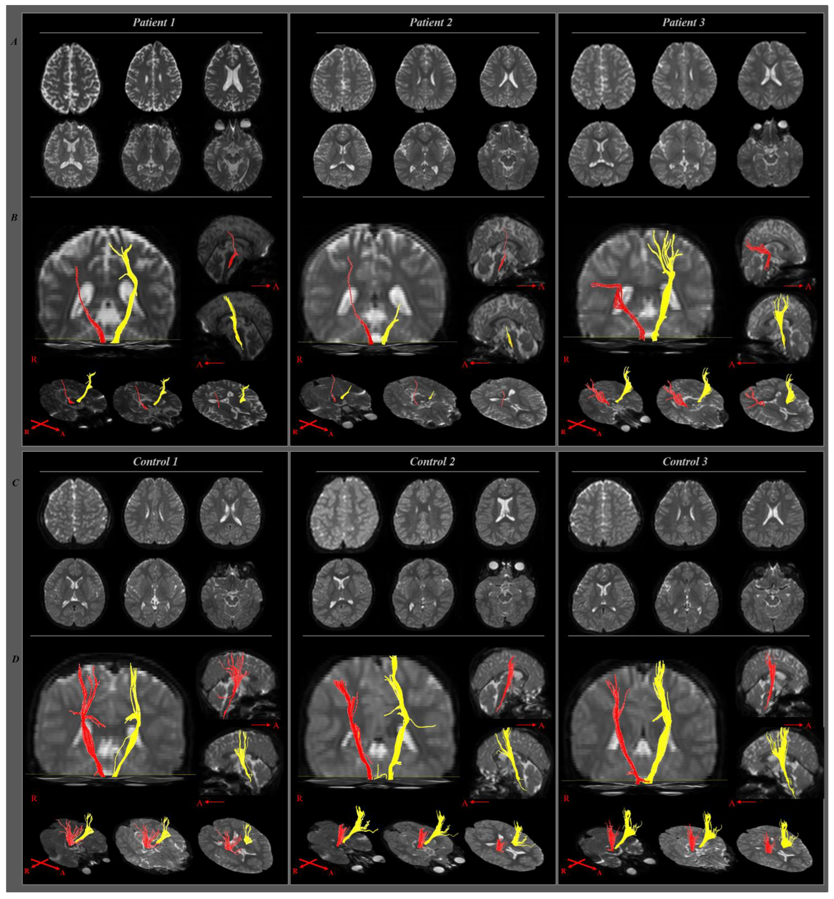 Children 09 01223 g002