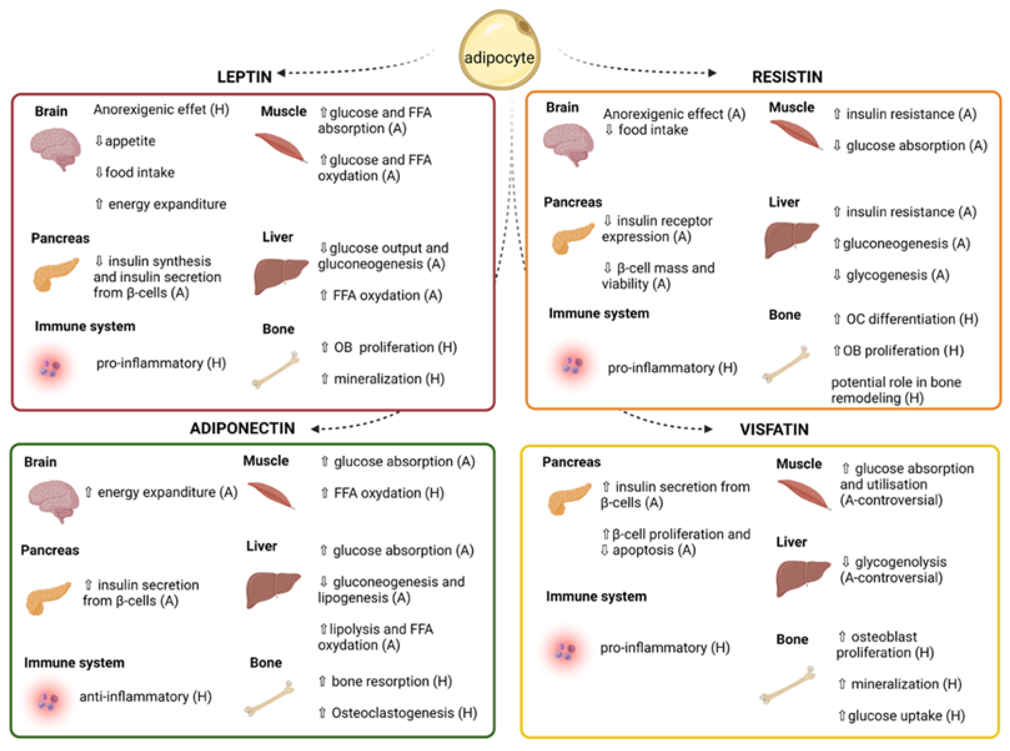 Children 09 01619 g001