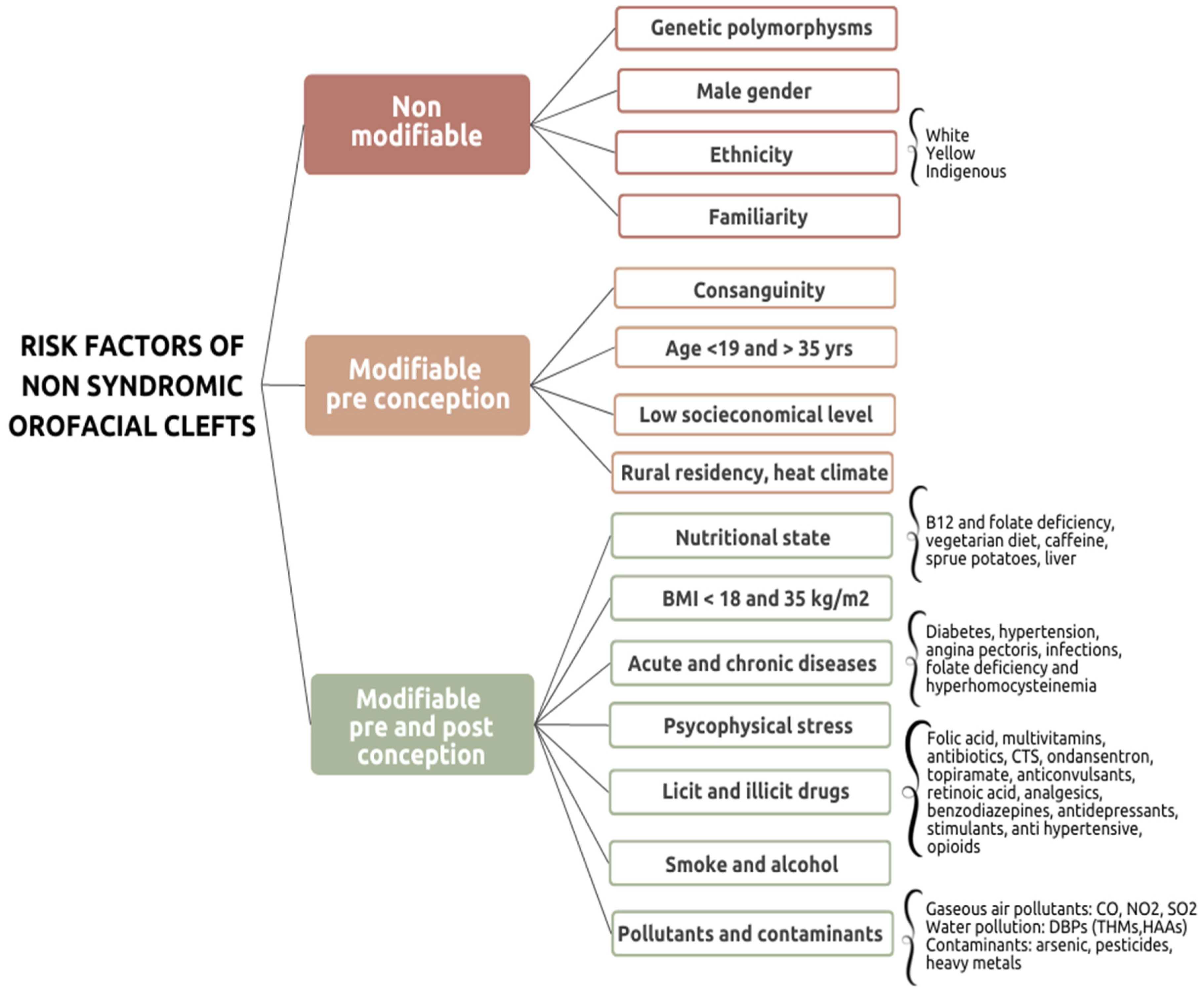 Children | Free Full-Text | Modifiable Risk Factors of Non-Syndromic ...