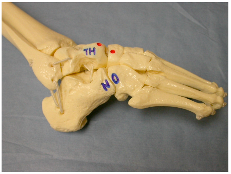 Children 10 00152 g002 Children 10 00152 g002