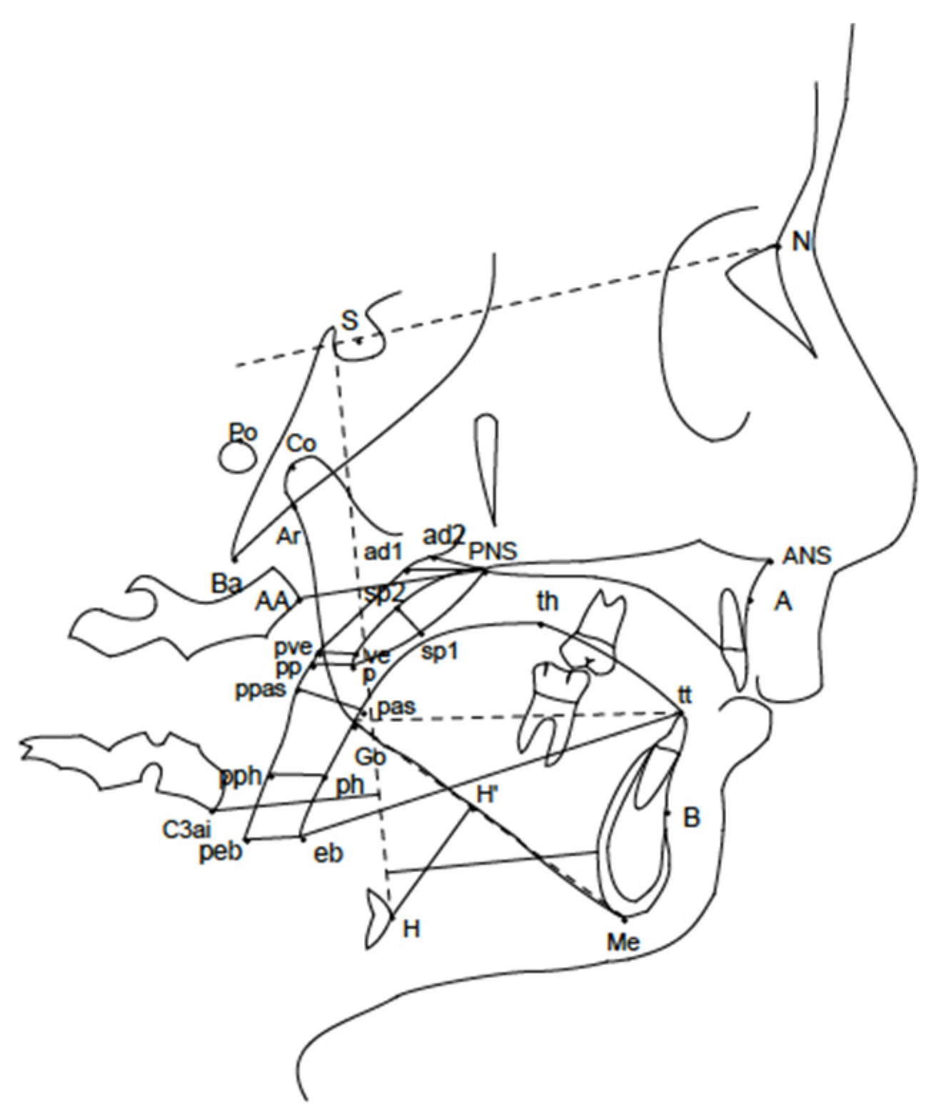 Children 10 00244 g002 Children 10 00244 g002