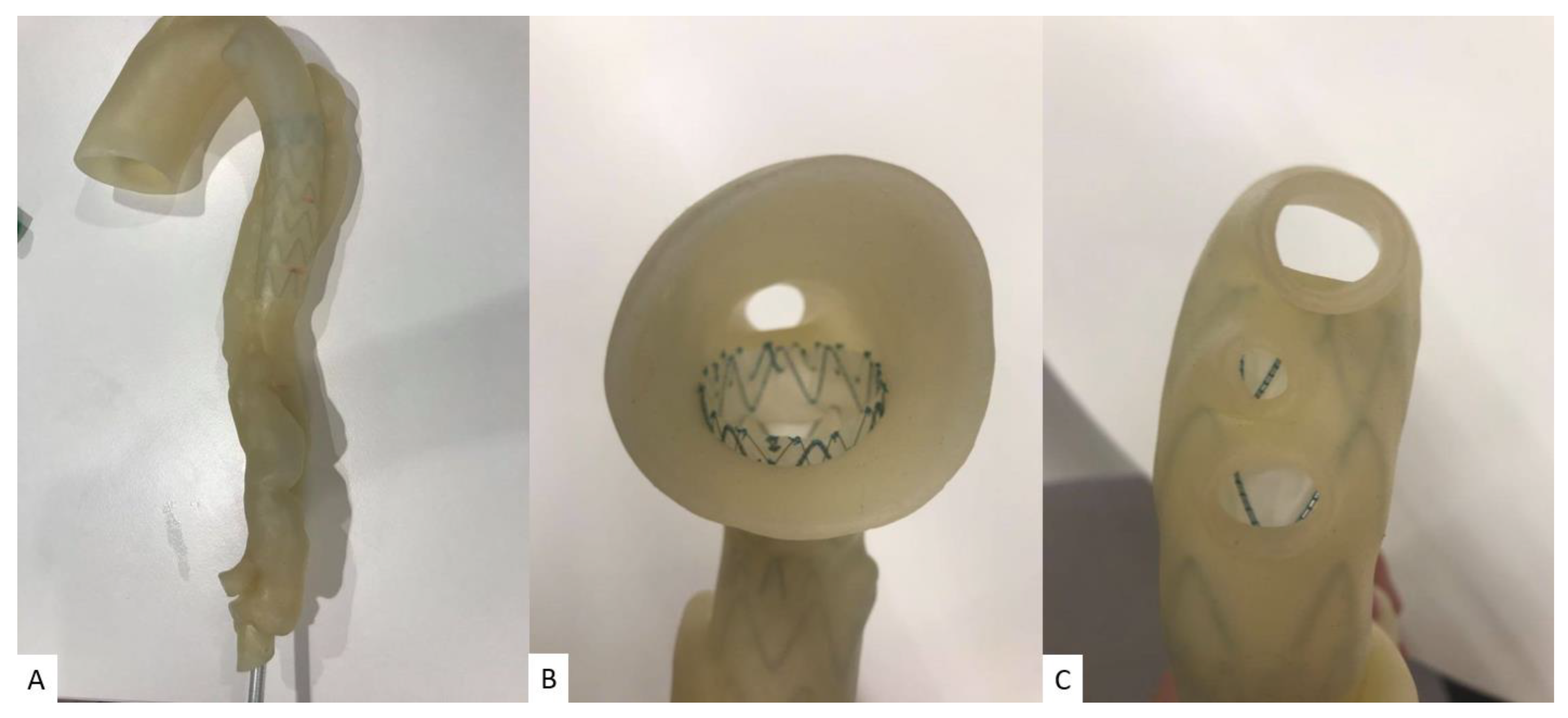 Children 10 00319 g004 Children 10 00319 g004