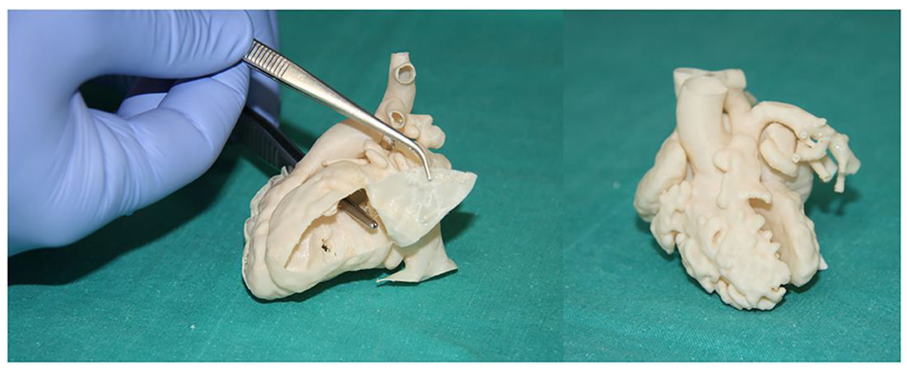 Children 10 00319 g010 Children 10 00319 g010