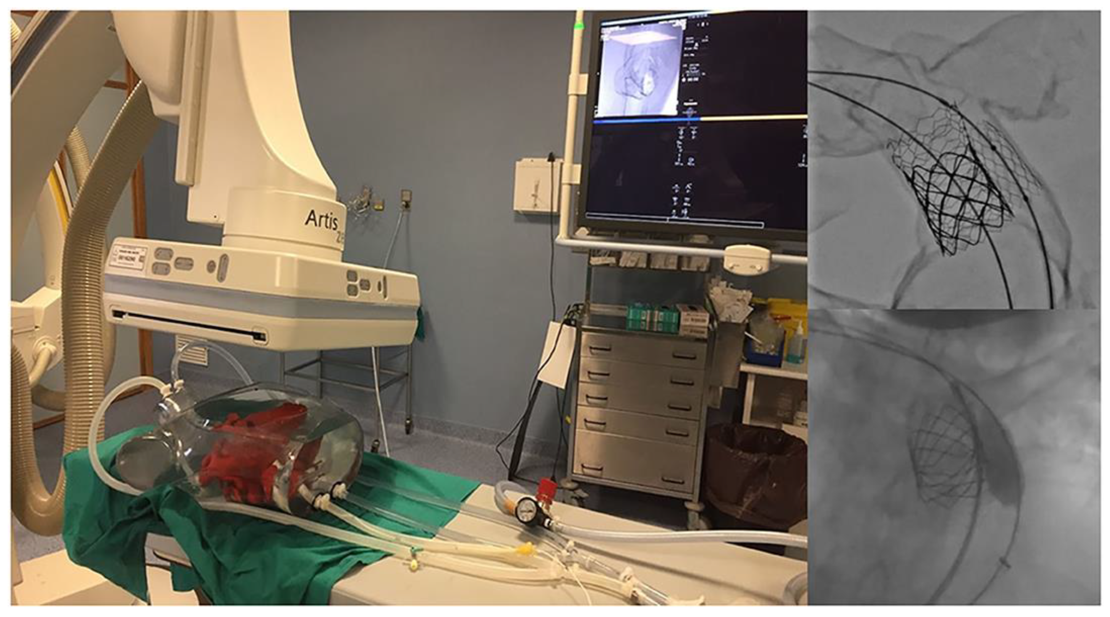 Children 10 00319 g011 Children 10 00319 g011