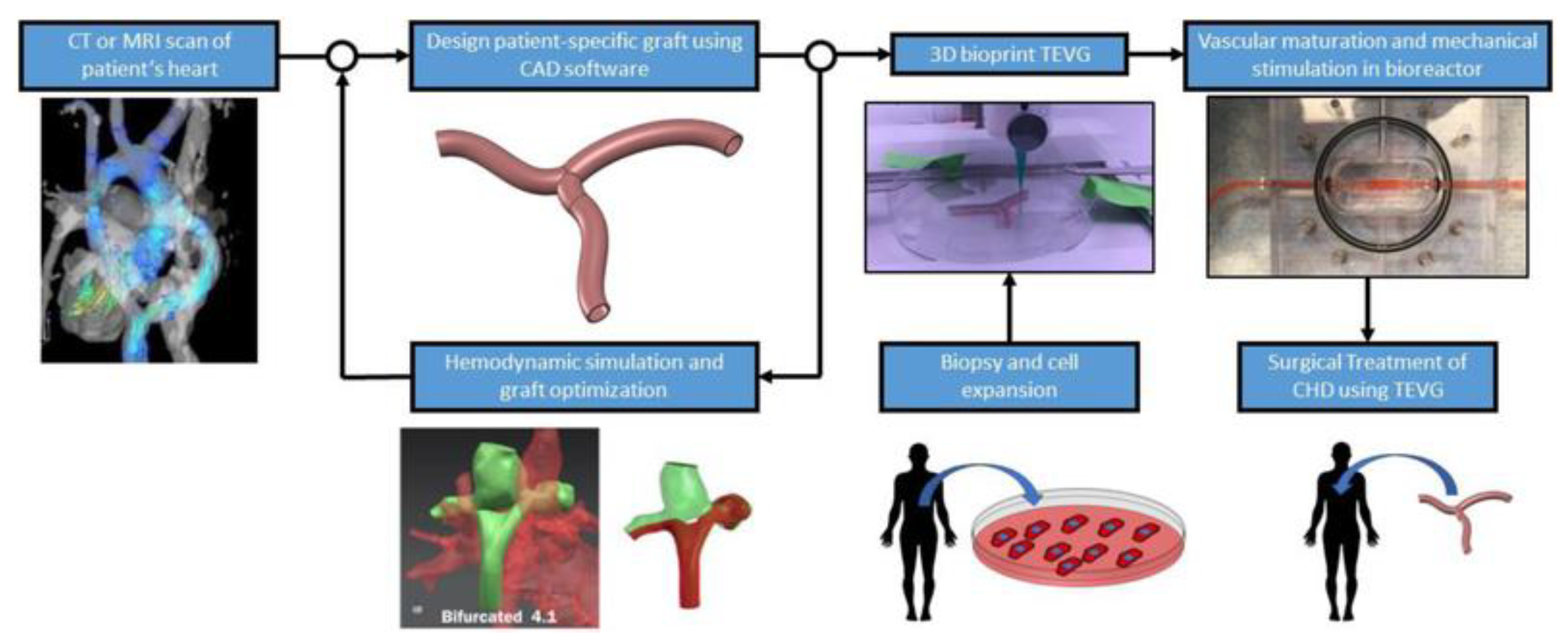 Children 10 00319 g015 Children 10 00319 g015