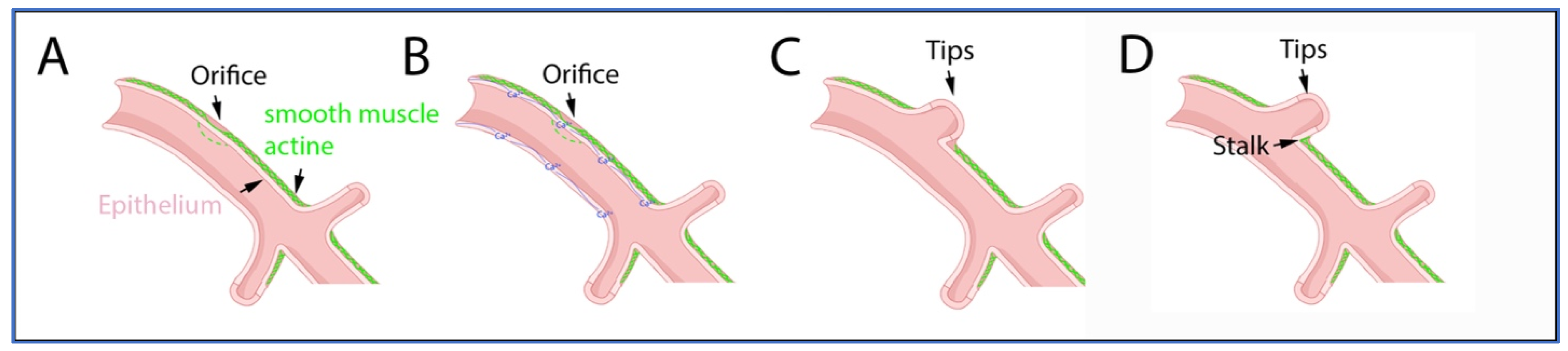 Children 10 01127 g001 Children 10 01127 g001