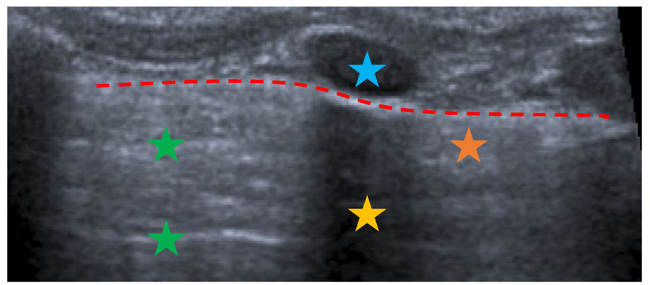 Children 10 01335 g001