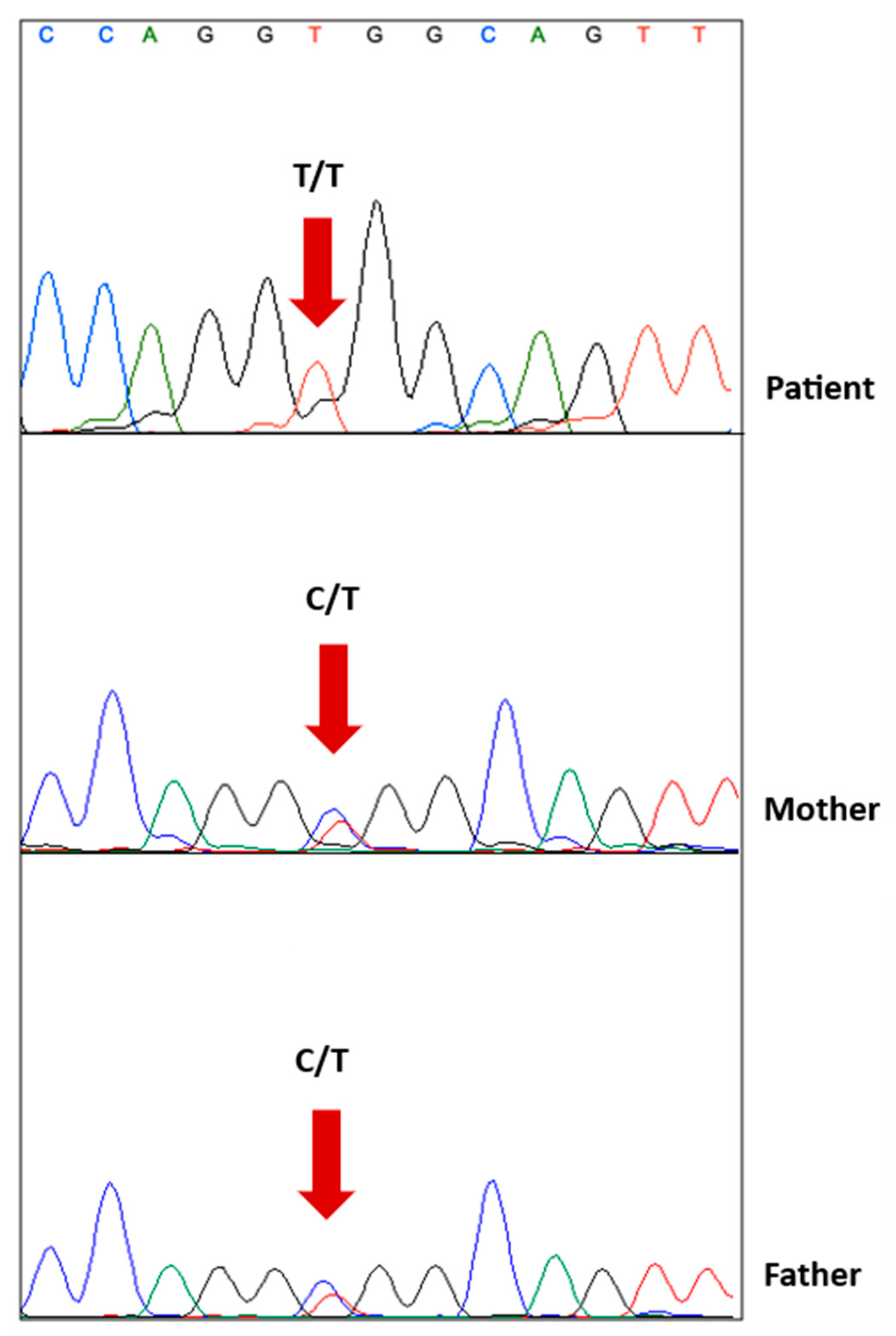 Children 10 01375 g003 Children 10 01375 g003