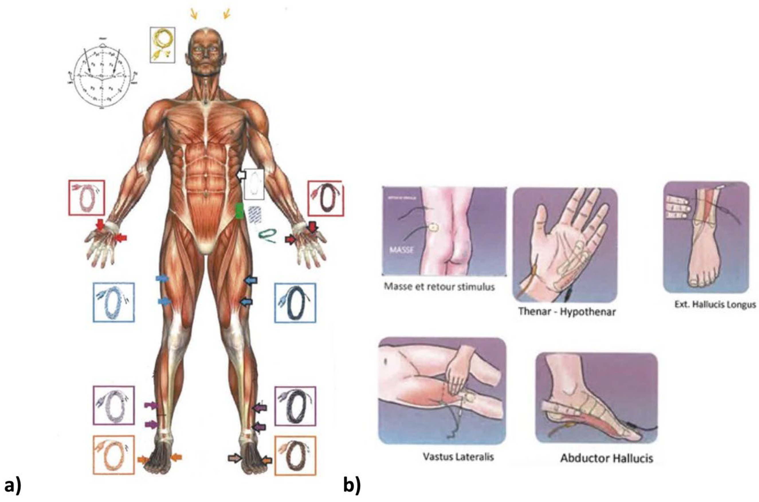 Children 10 01560 g002