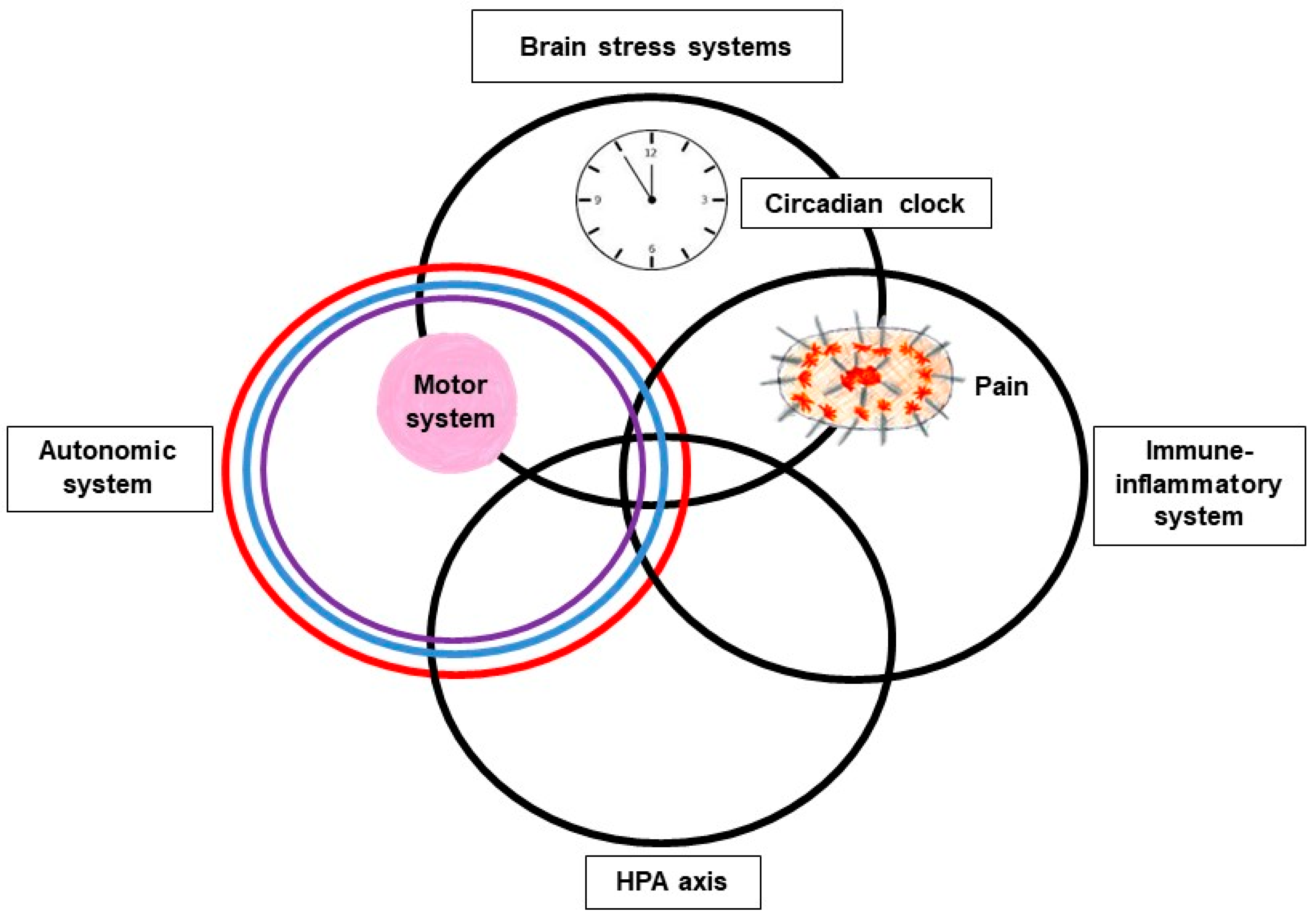 EMDR as a Brain-Based Approach with Mark Grant MA  International  Association of Applied Neuroscience