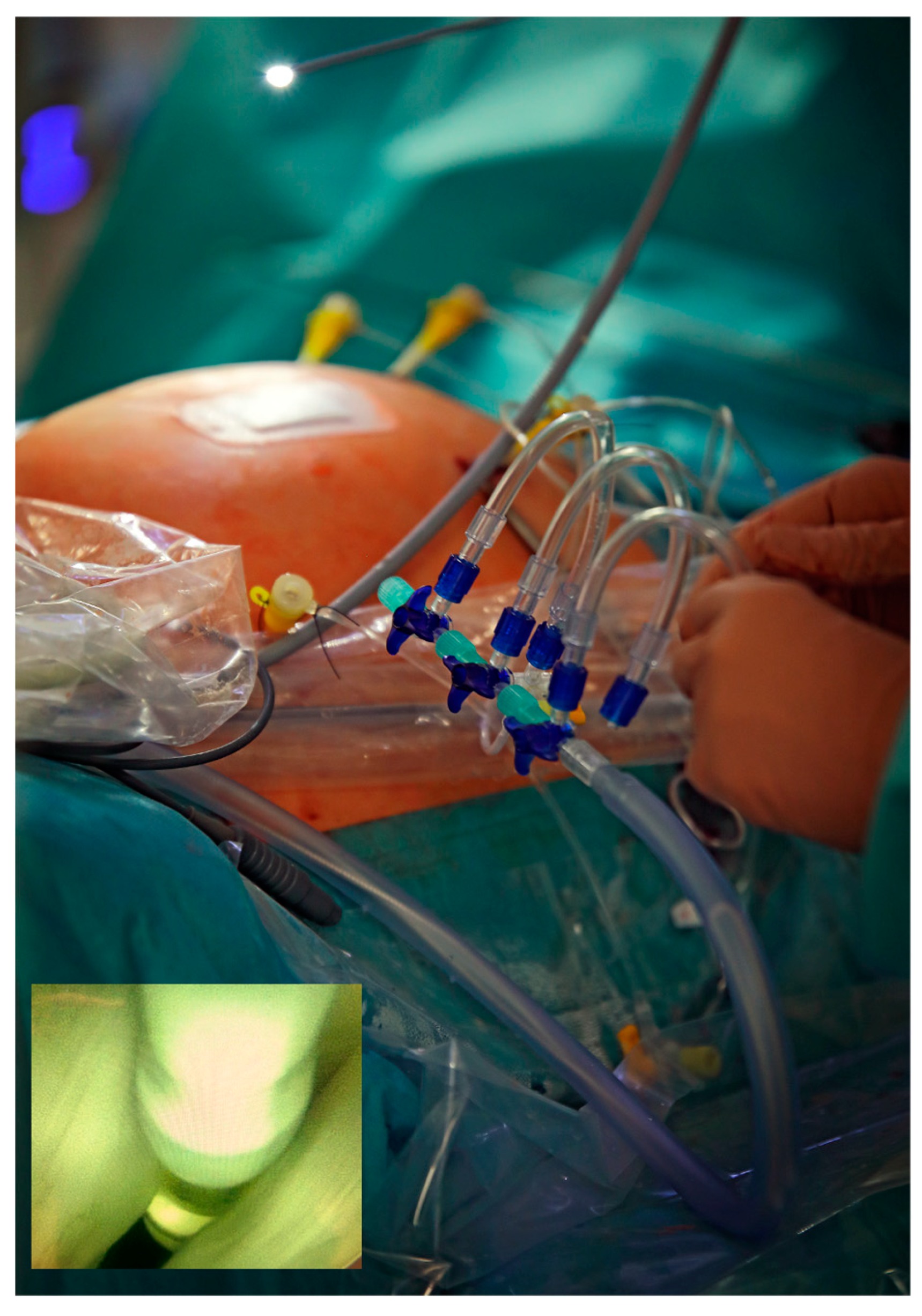 Children 10 01758 g002