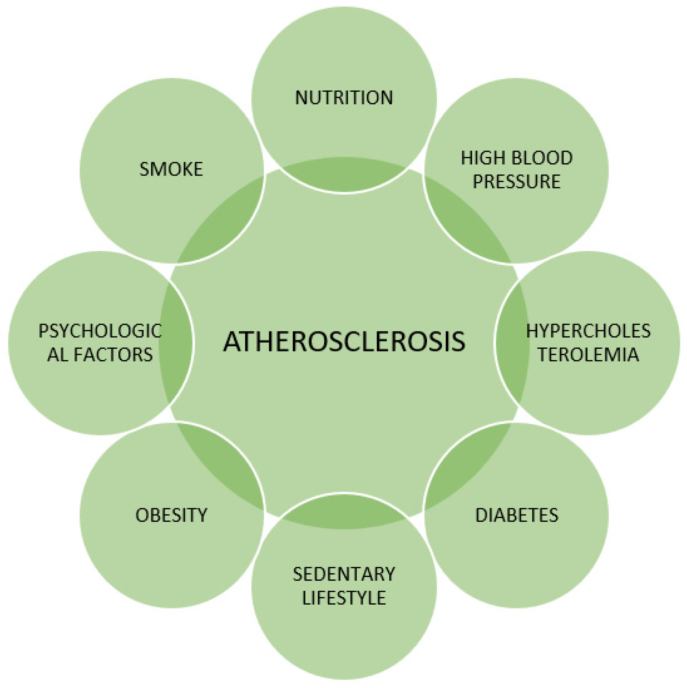 Children 11 00129 g001 Children 11 00129 g001