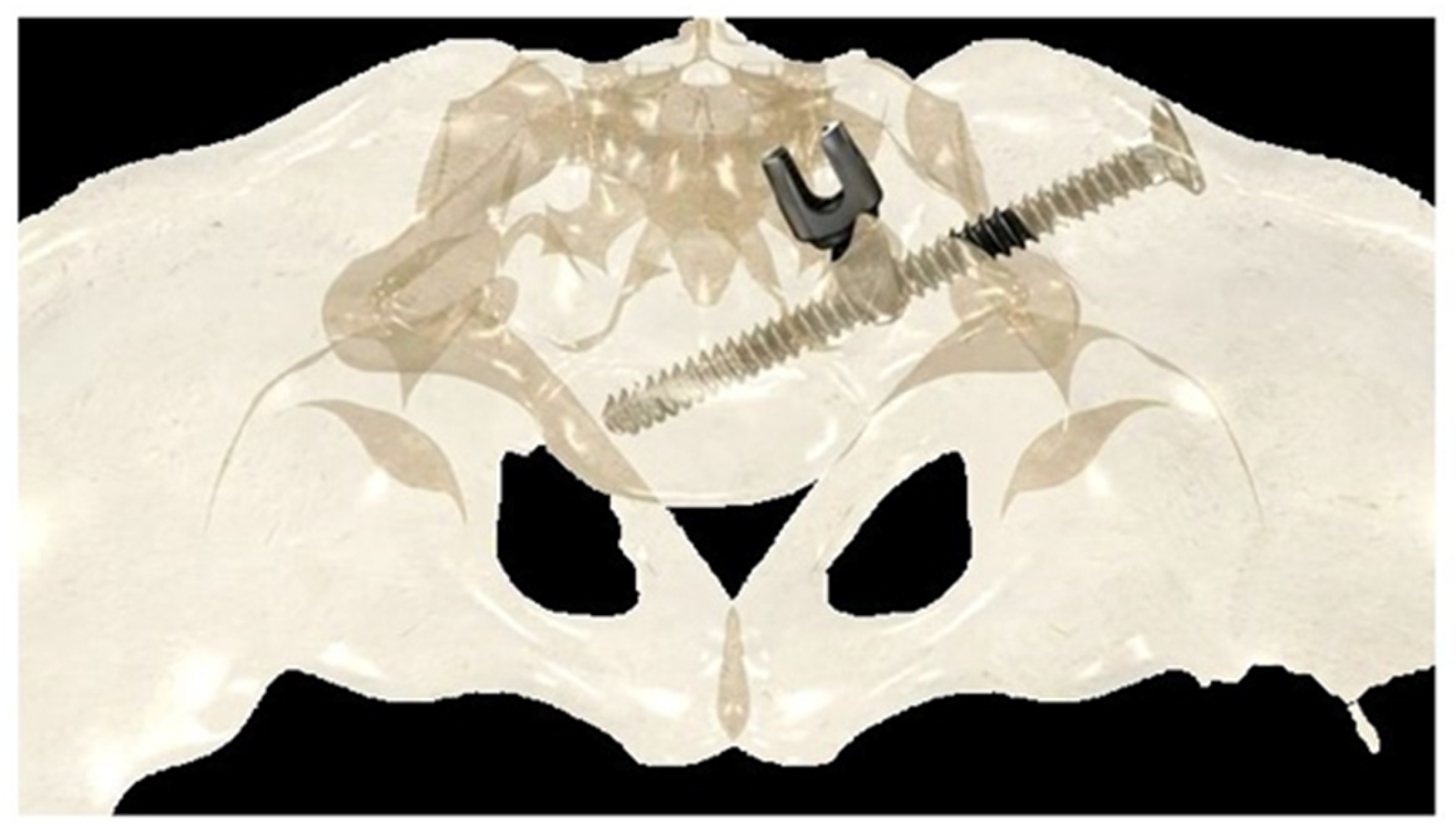 Children 11 00228 g002