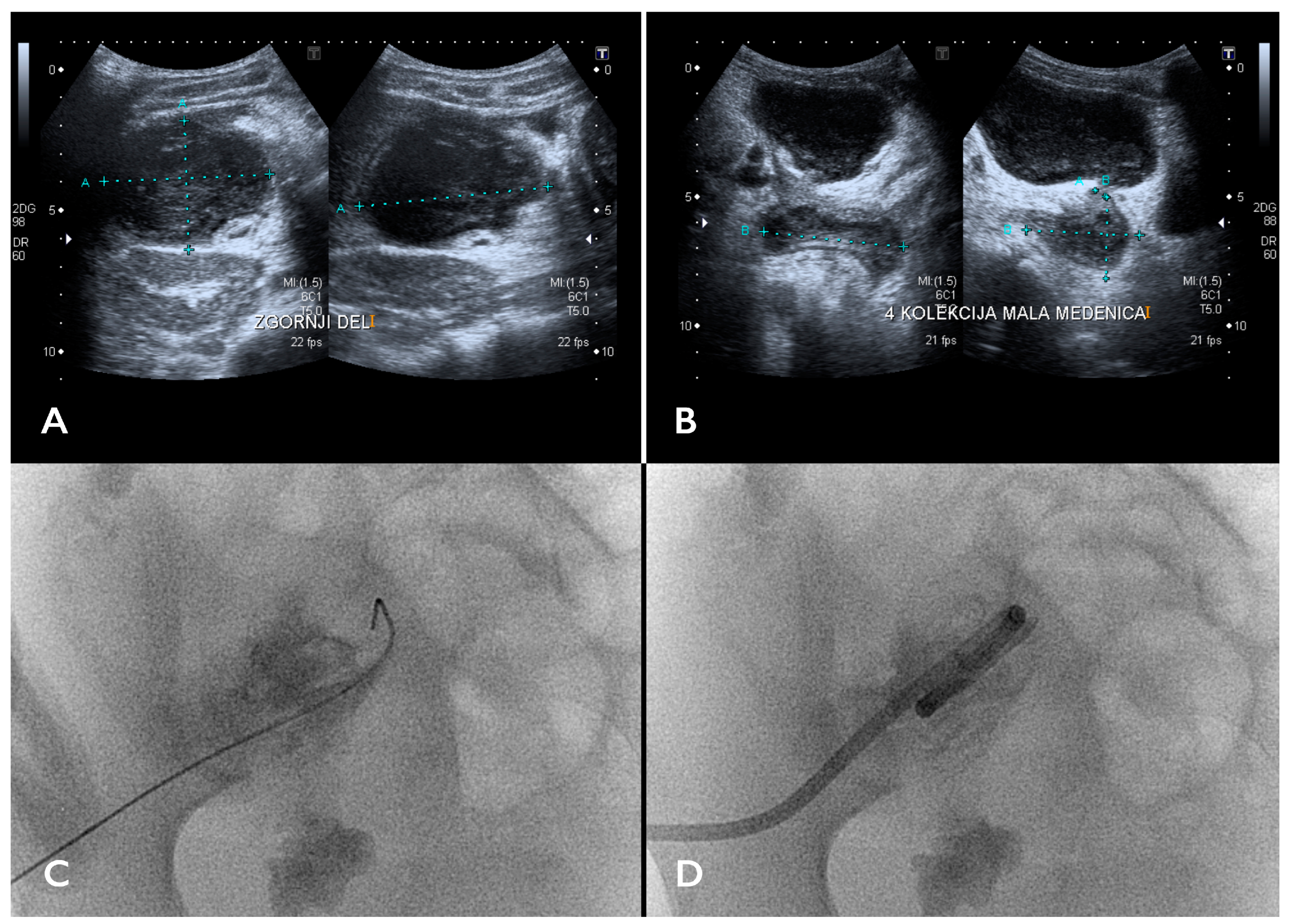 Children 11 00290 g001 Children 11 00290 g001