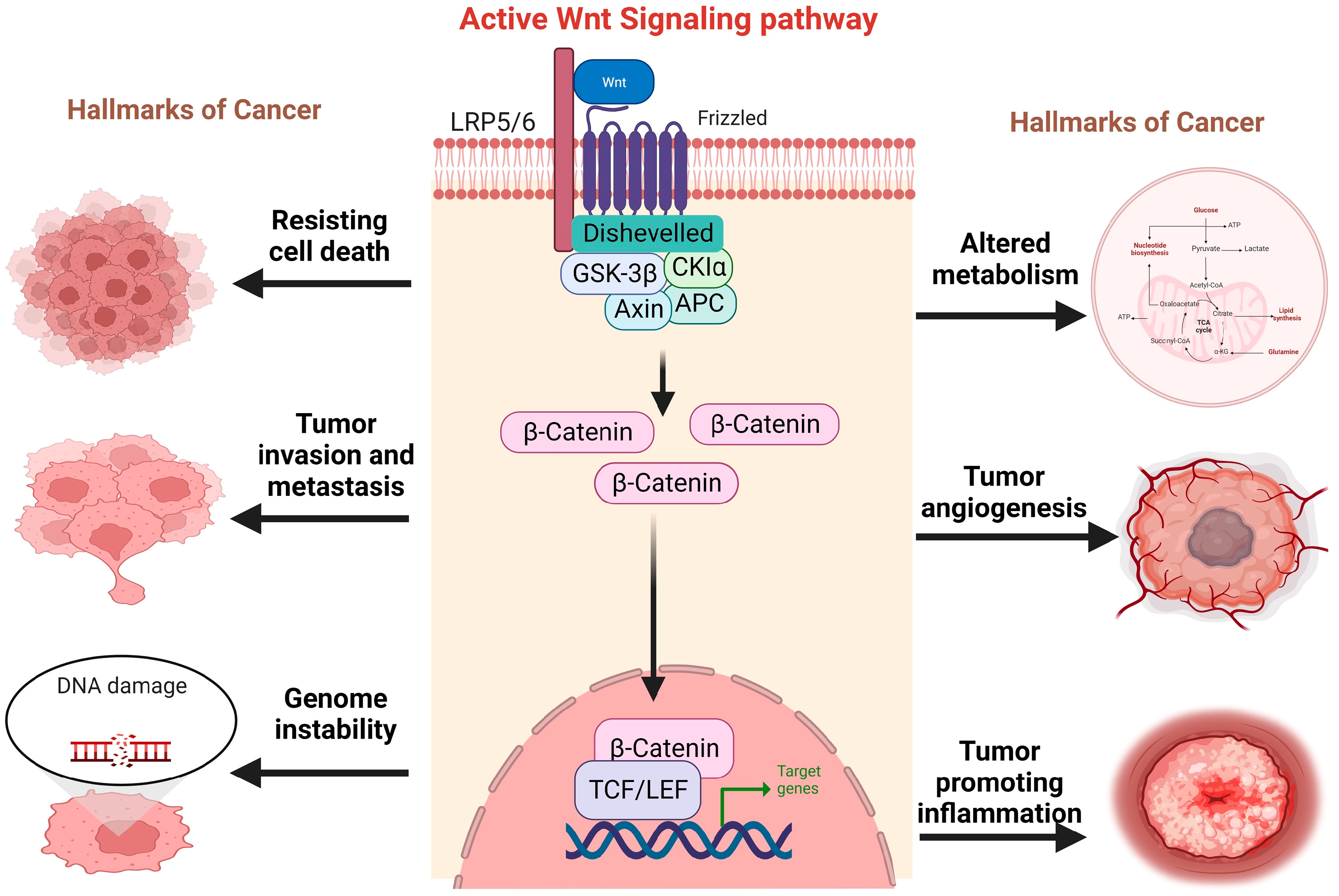 Children 11 00700 g002