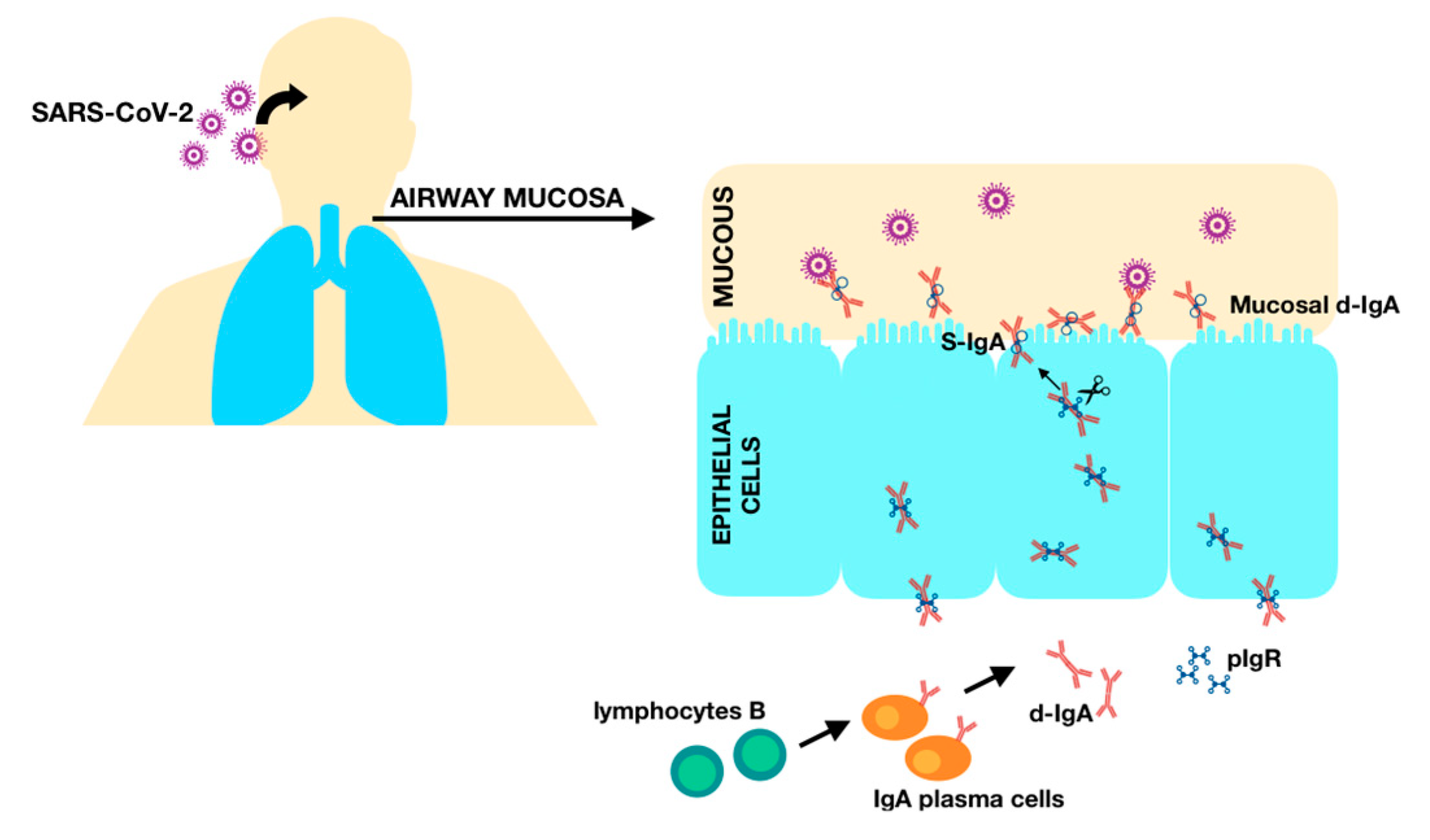 Children 11 00736 g004