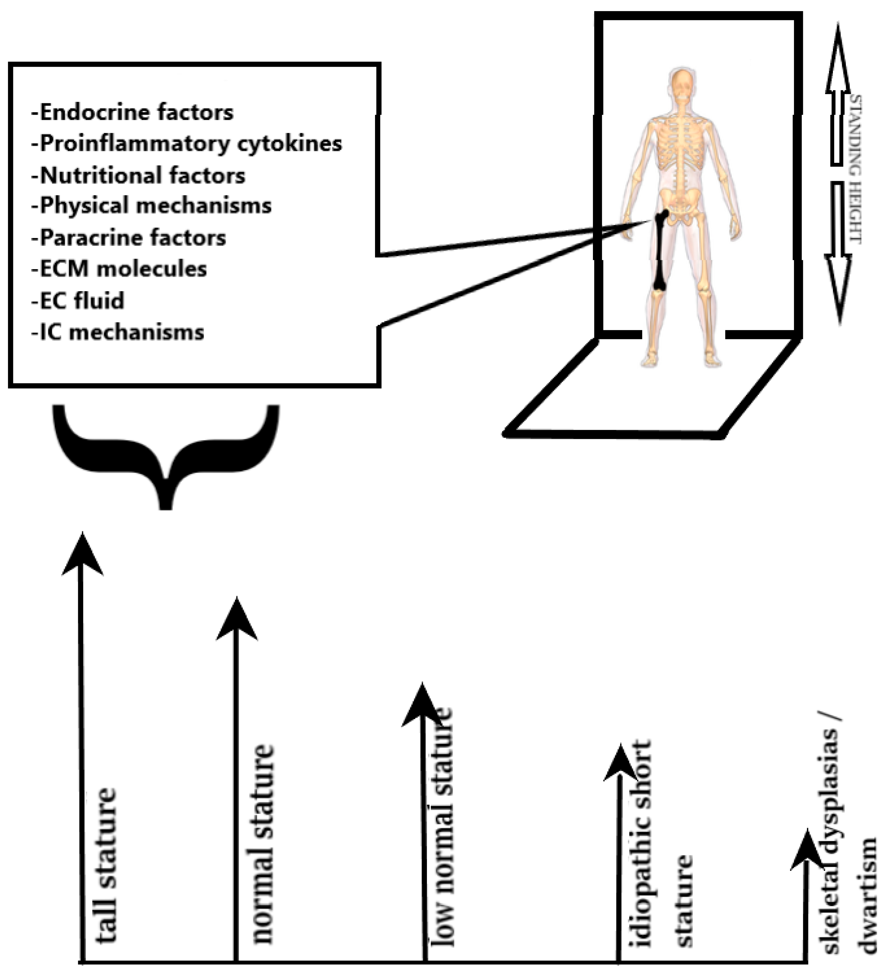 Children 11 00792 g001