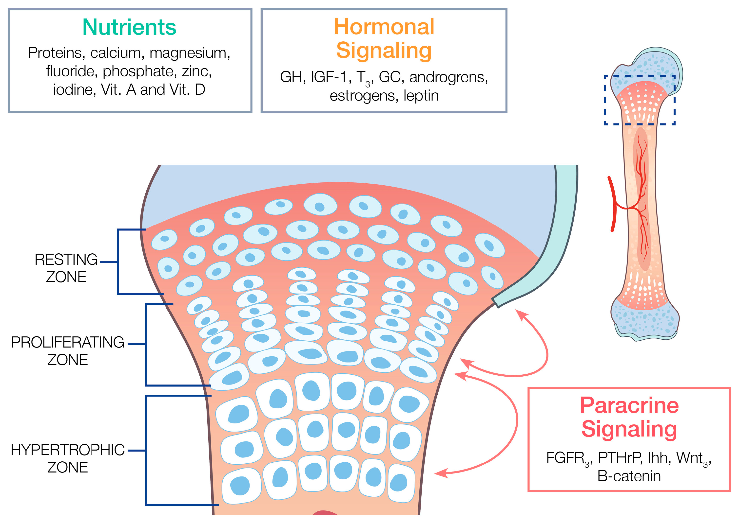 Children 11 00817 g001 Children 11 00817 g001