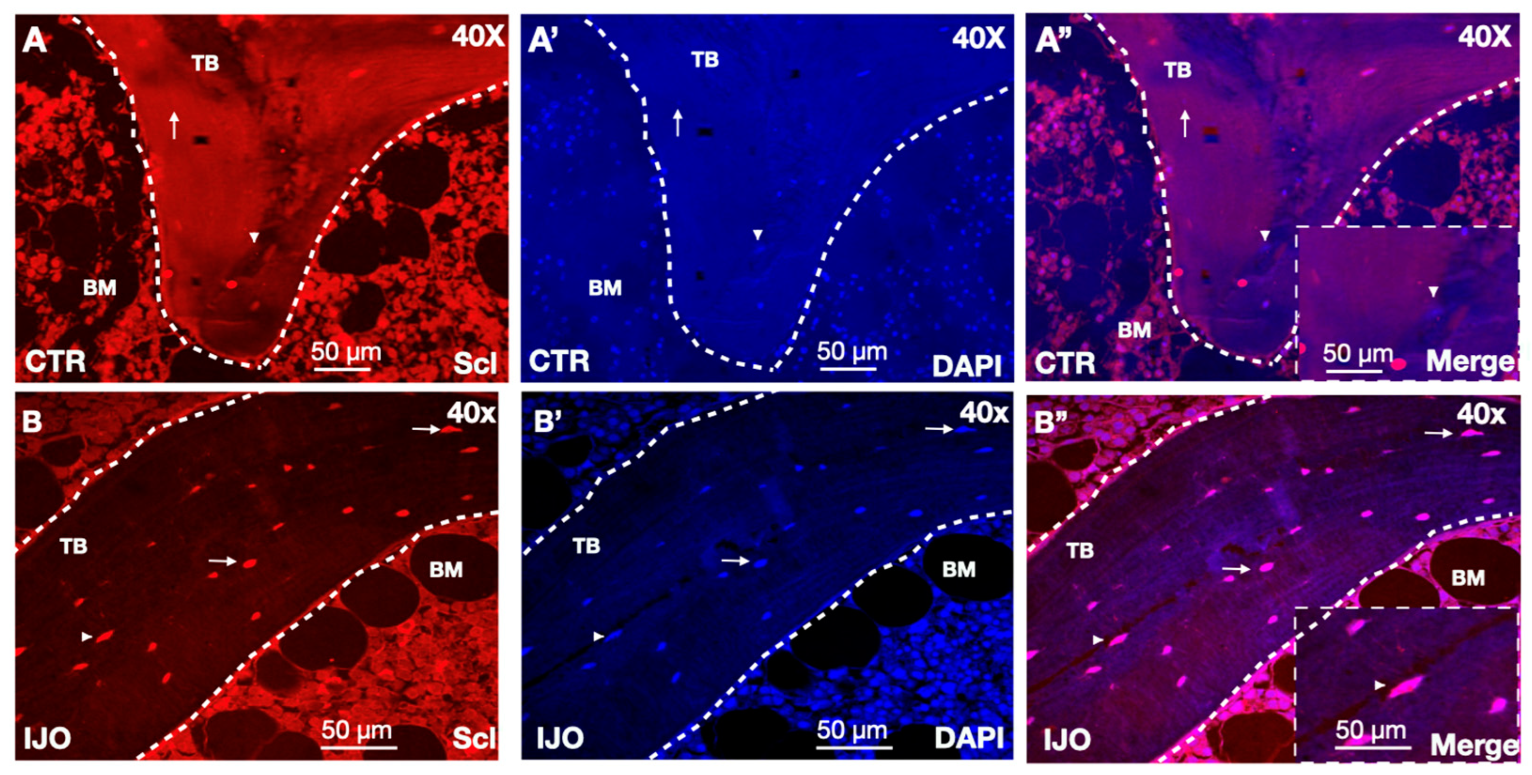Children 11 00820 g001