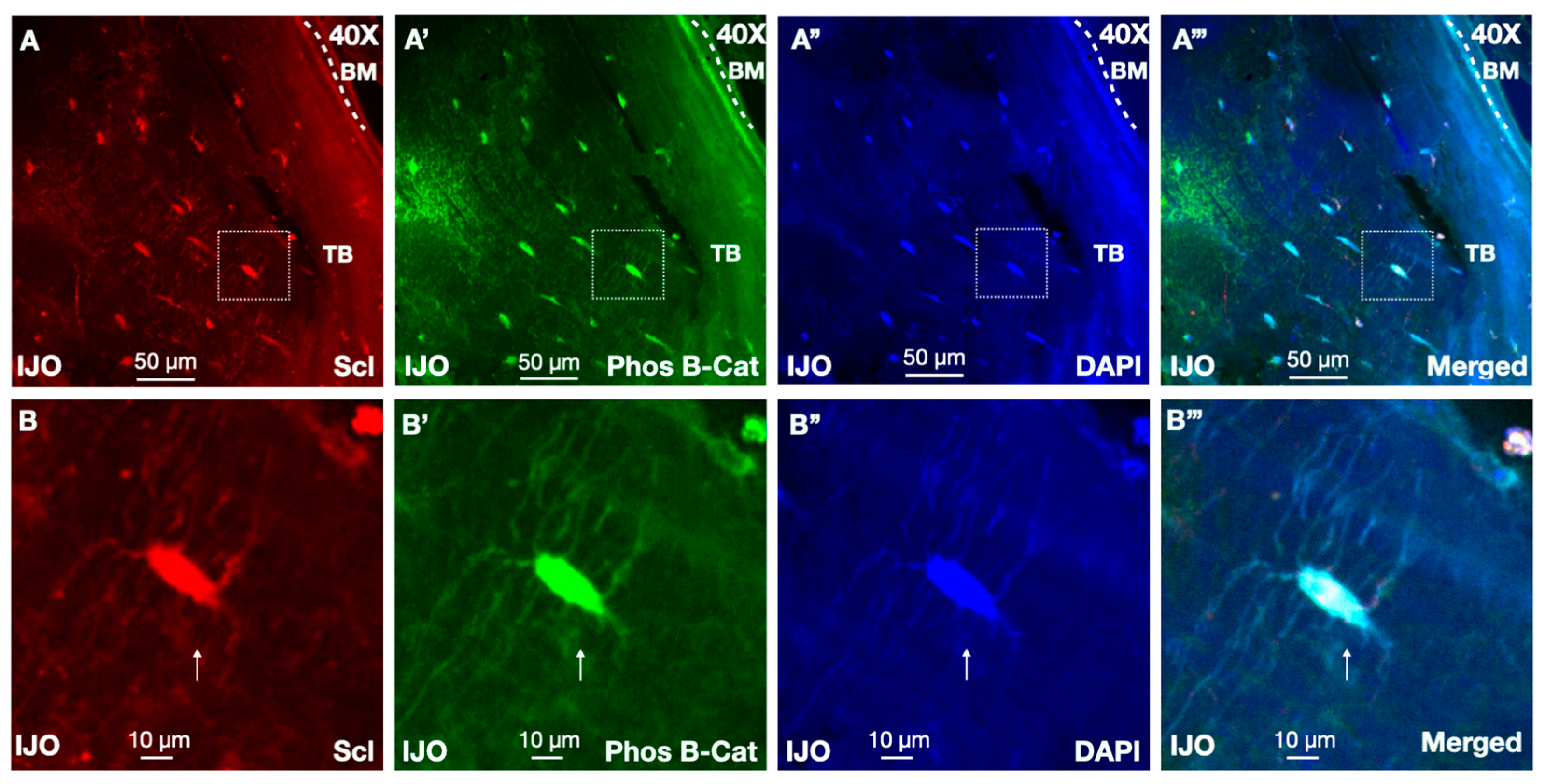 Children 11 00820 g003