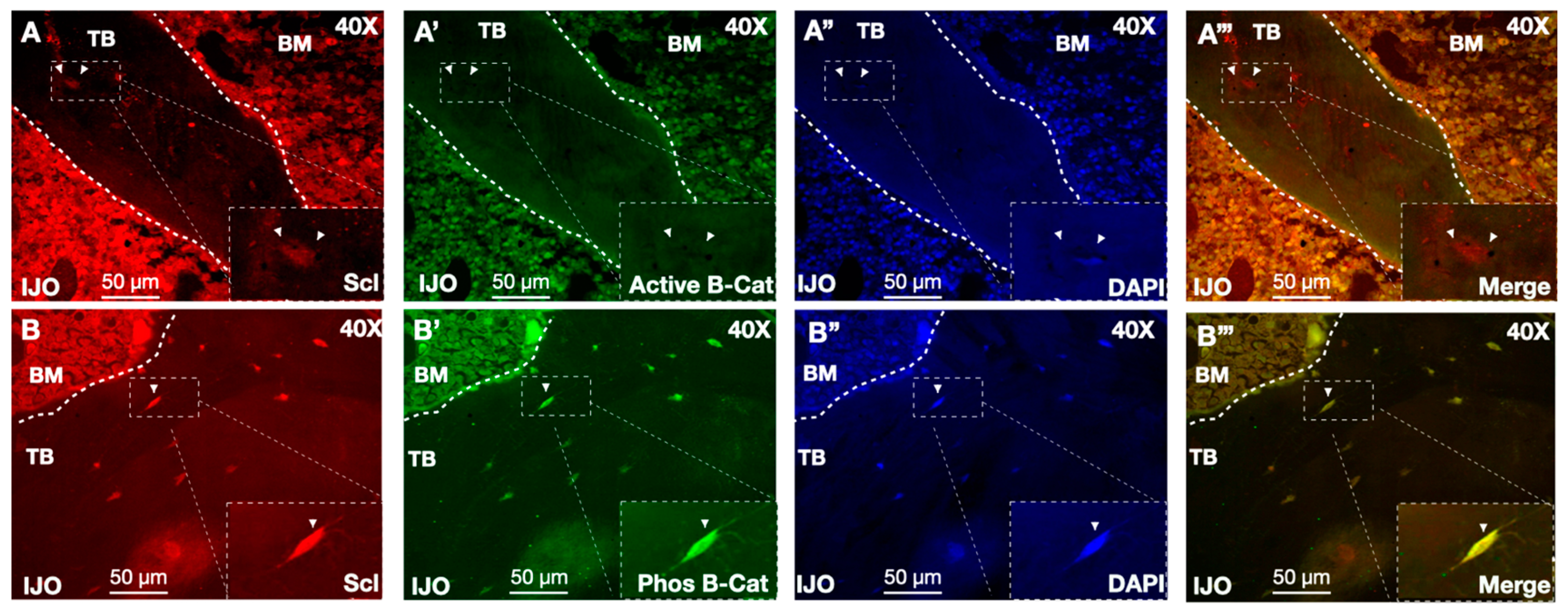 Children 11 00820 g004