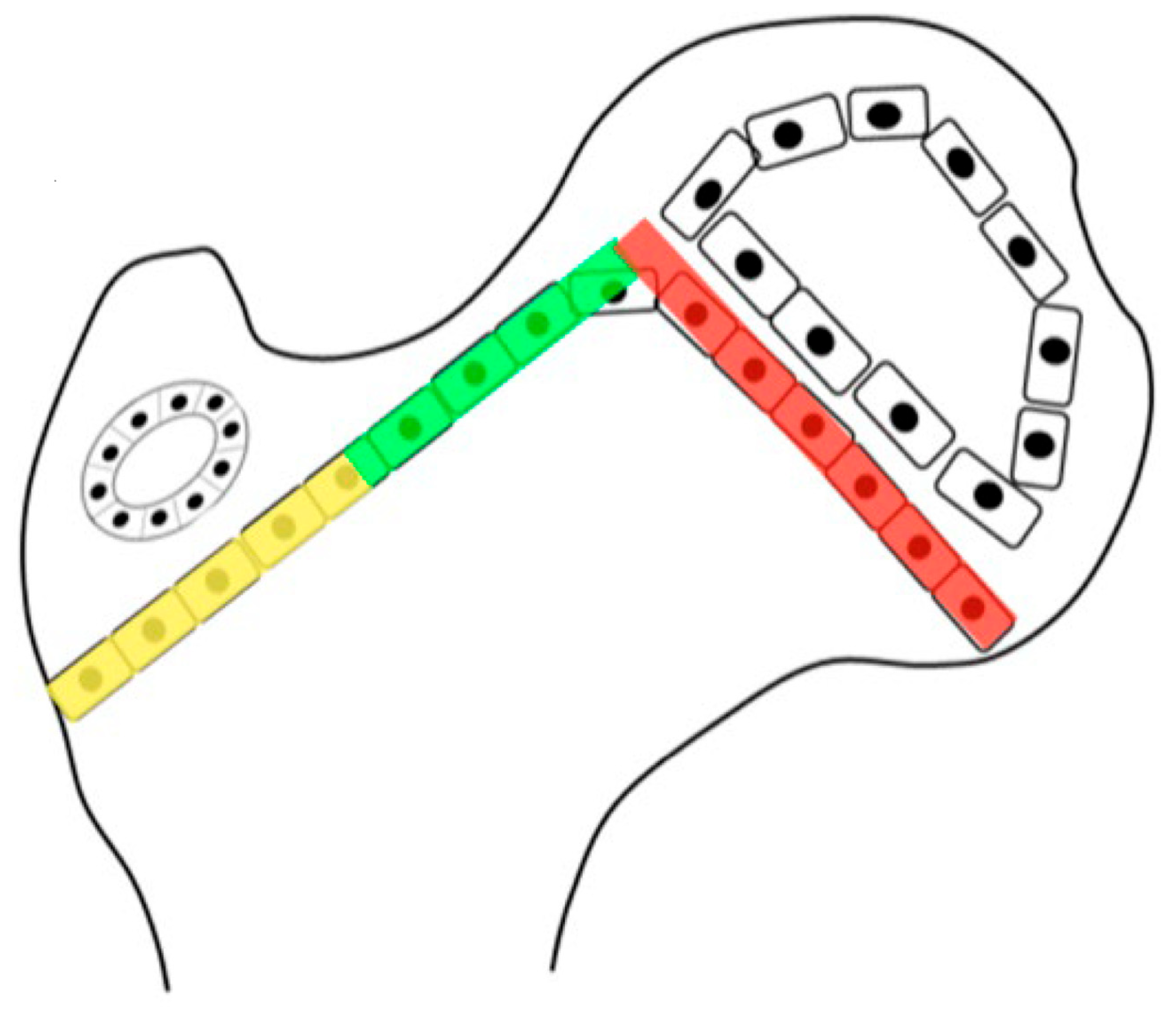 Children 11 00844 g001 Children 11 00844 g001