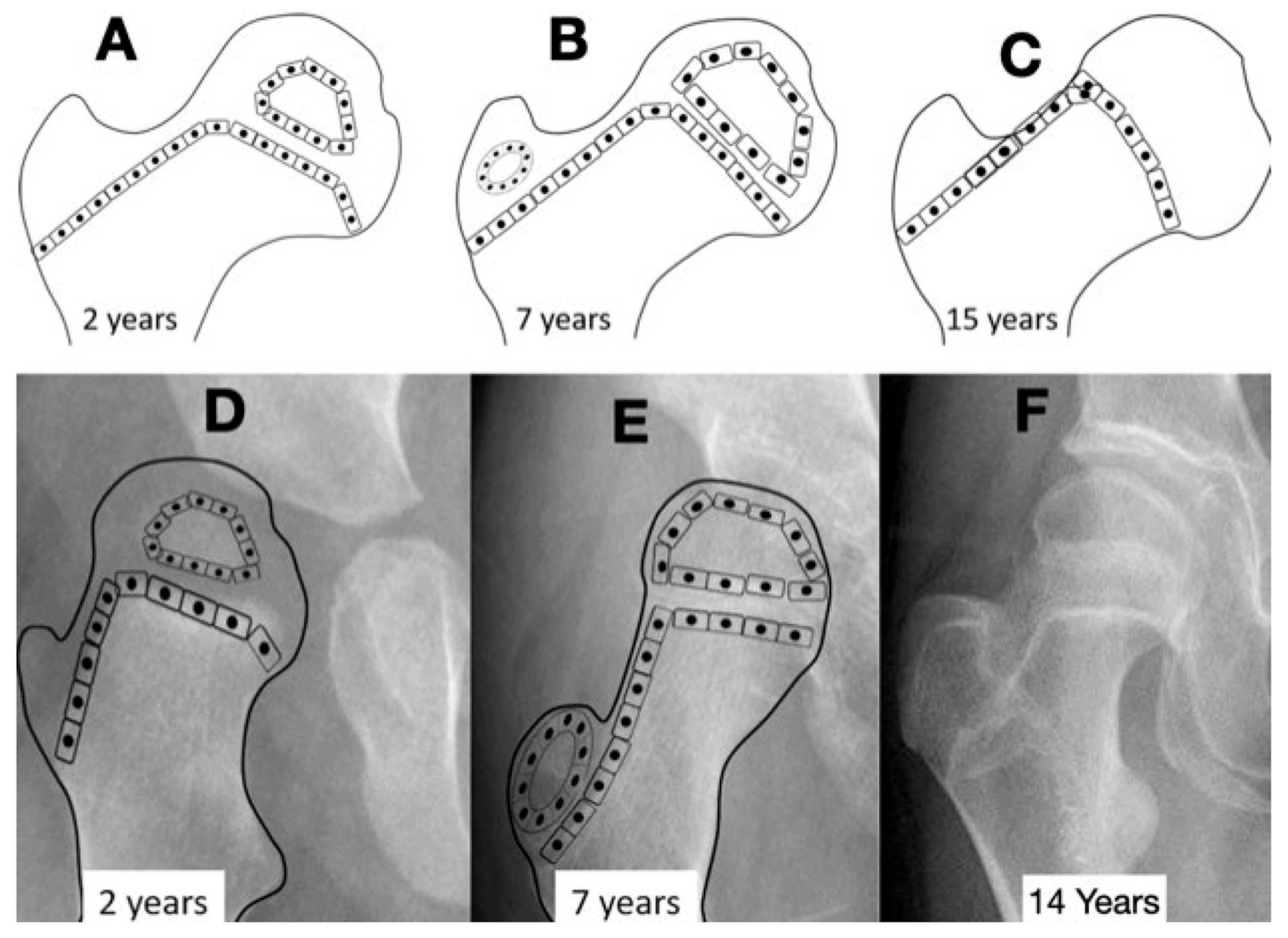 Children 11 00844 g004 Children 11 00844 g004