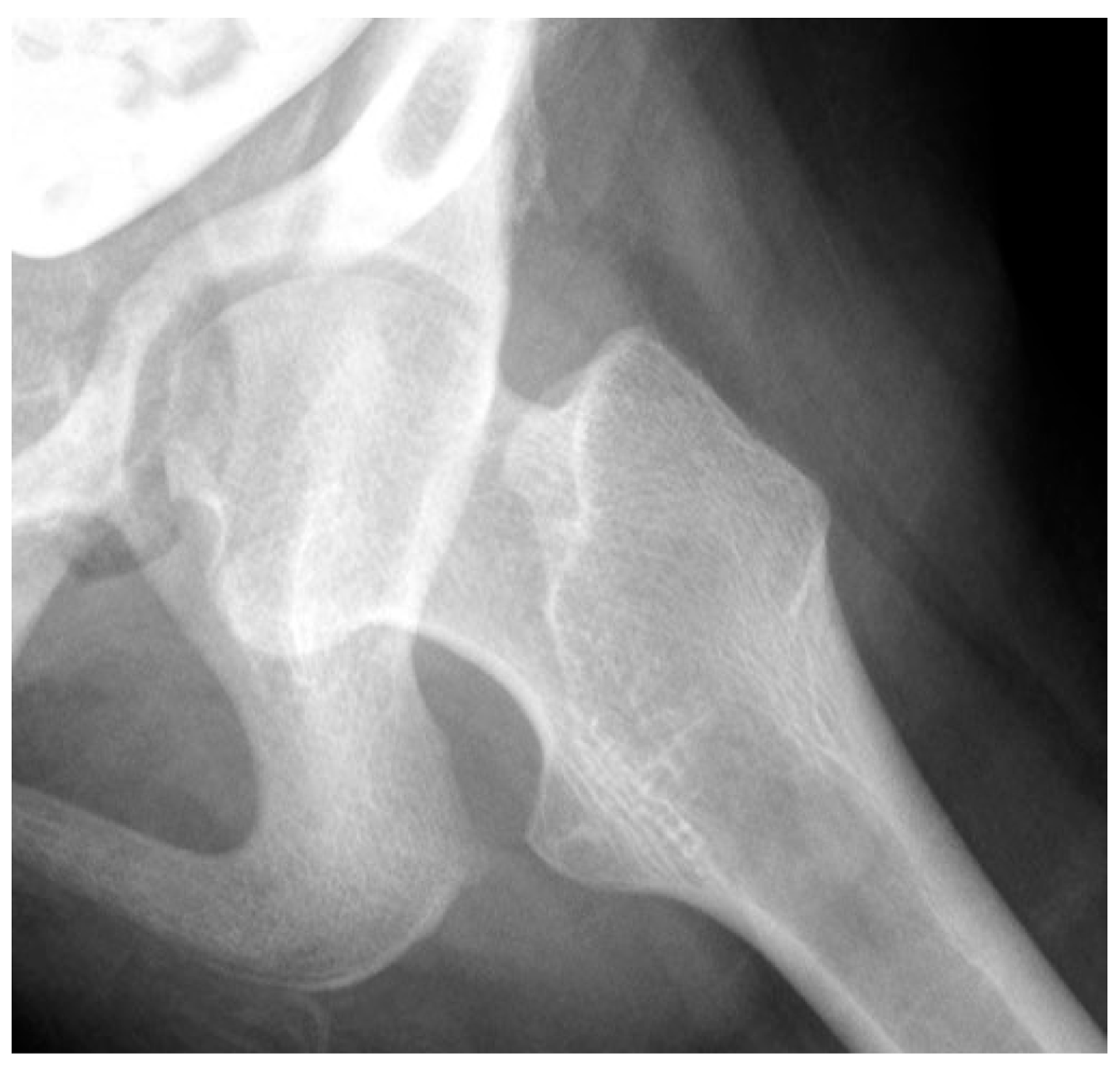 Children 11 00844 g005 Children 11 00844 g005