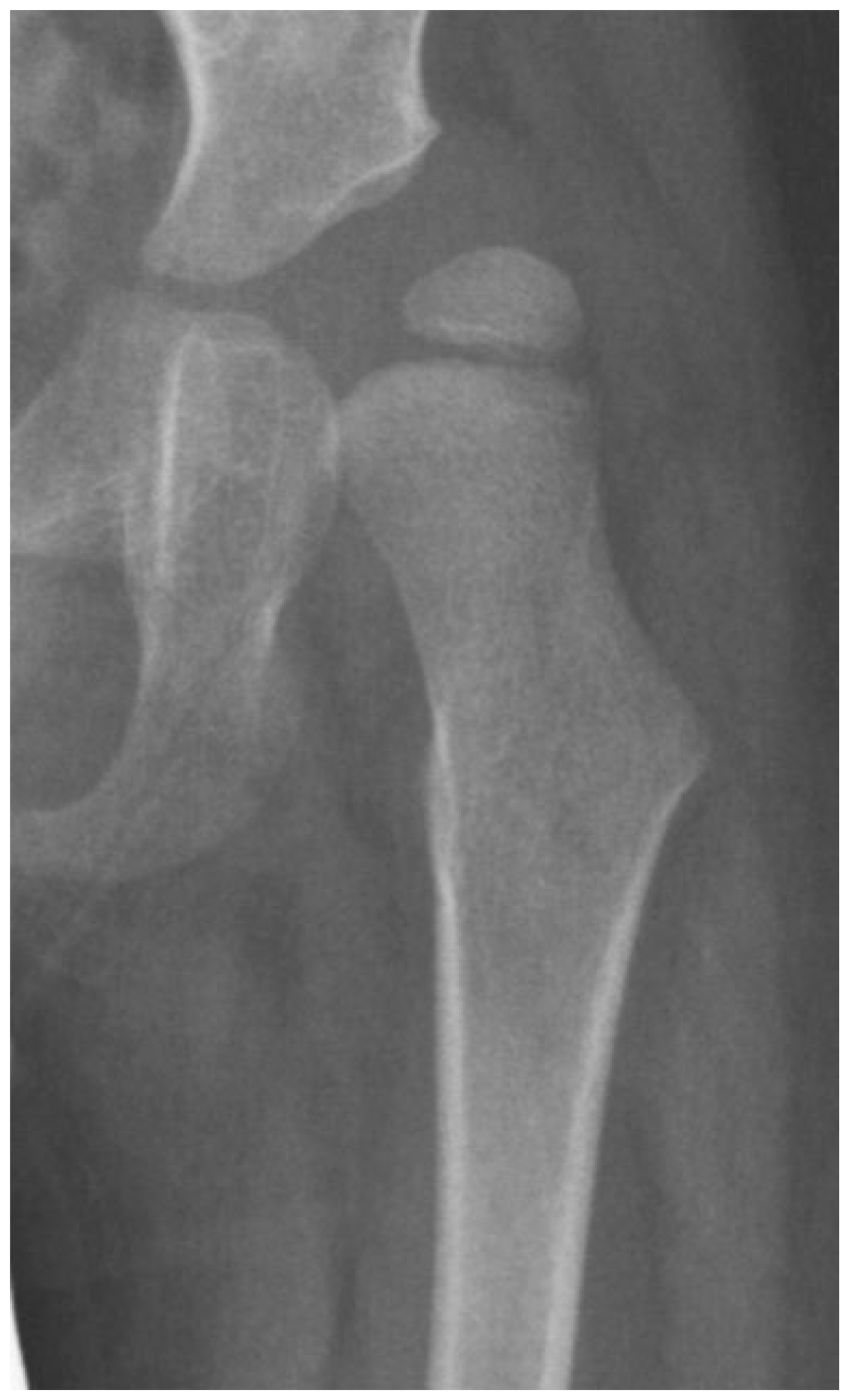 Children 11 00844 g006 Children 11 00844 g006