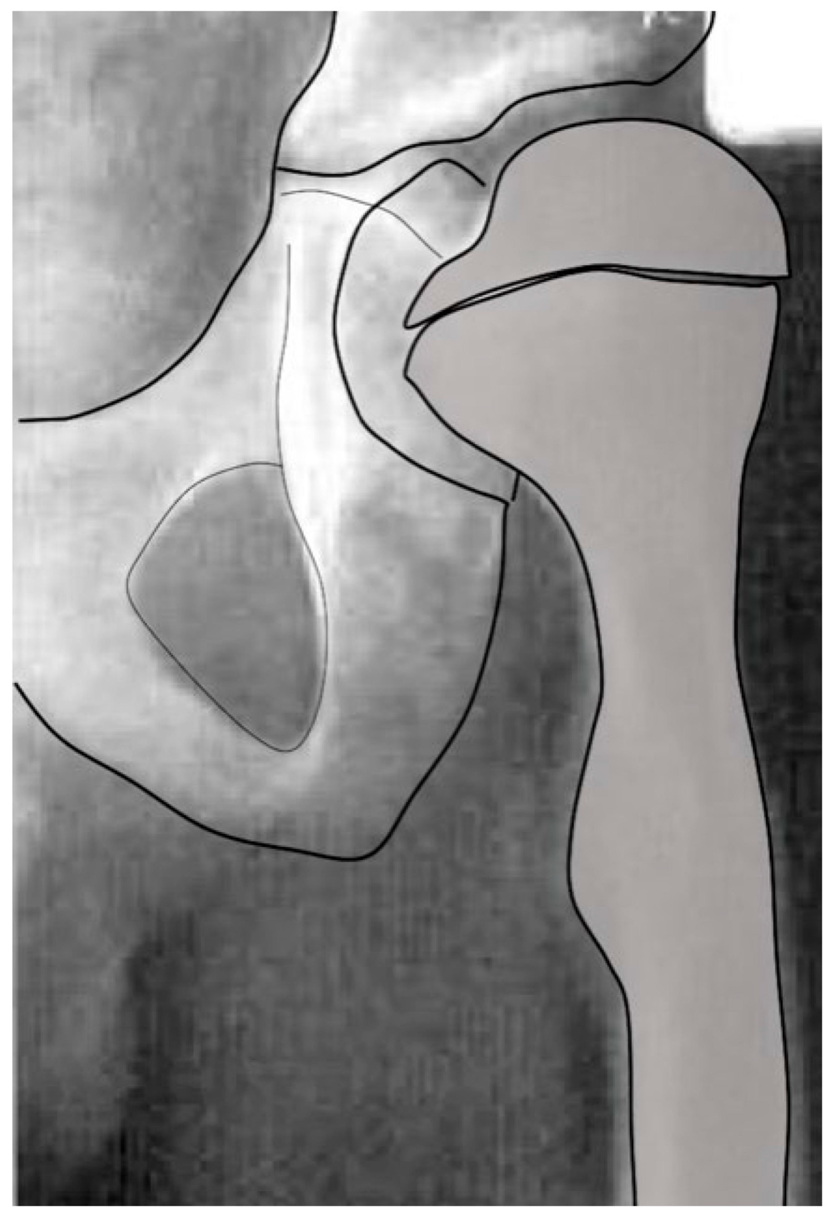 Children 11 00844 g007 Children 11 00844 g007