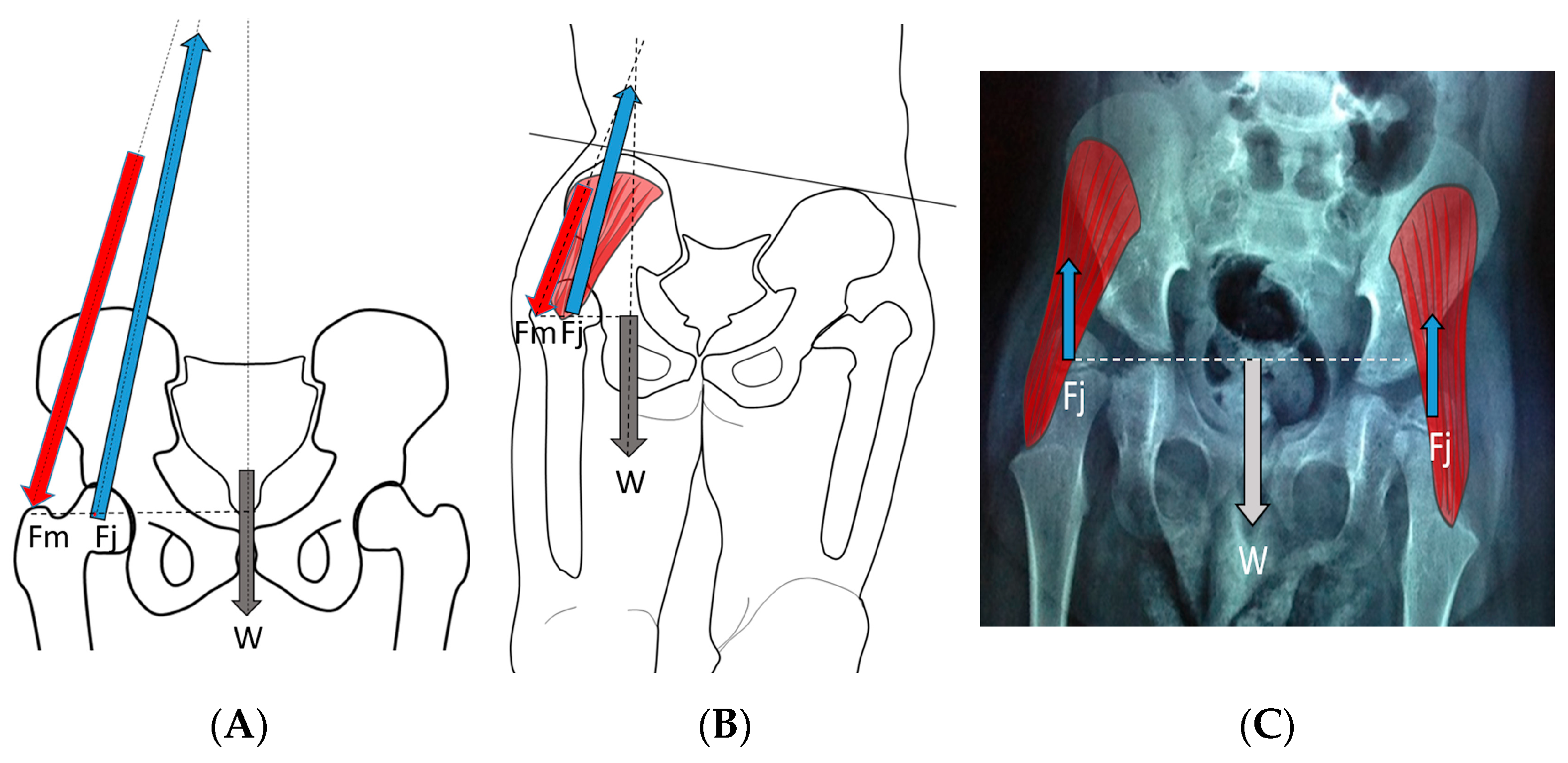 Children 11 00844 g008 Children 11 00844 g008