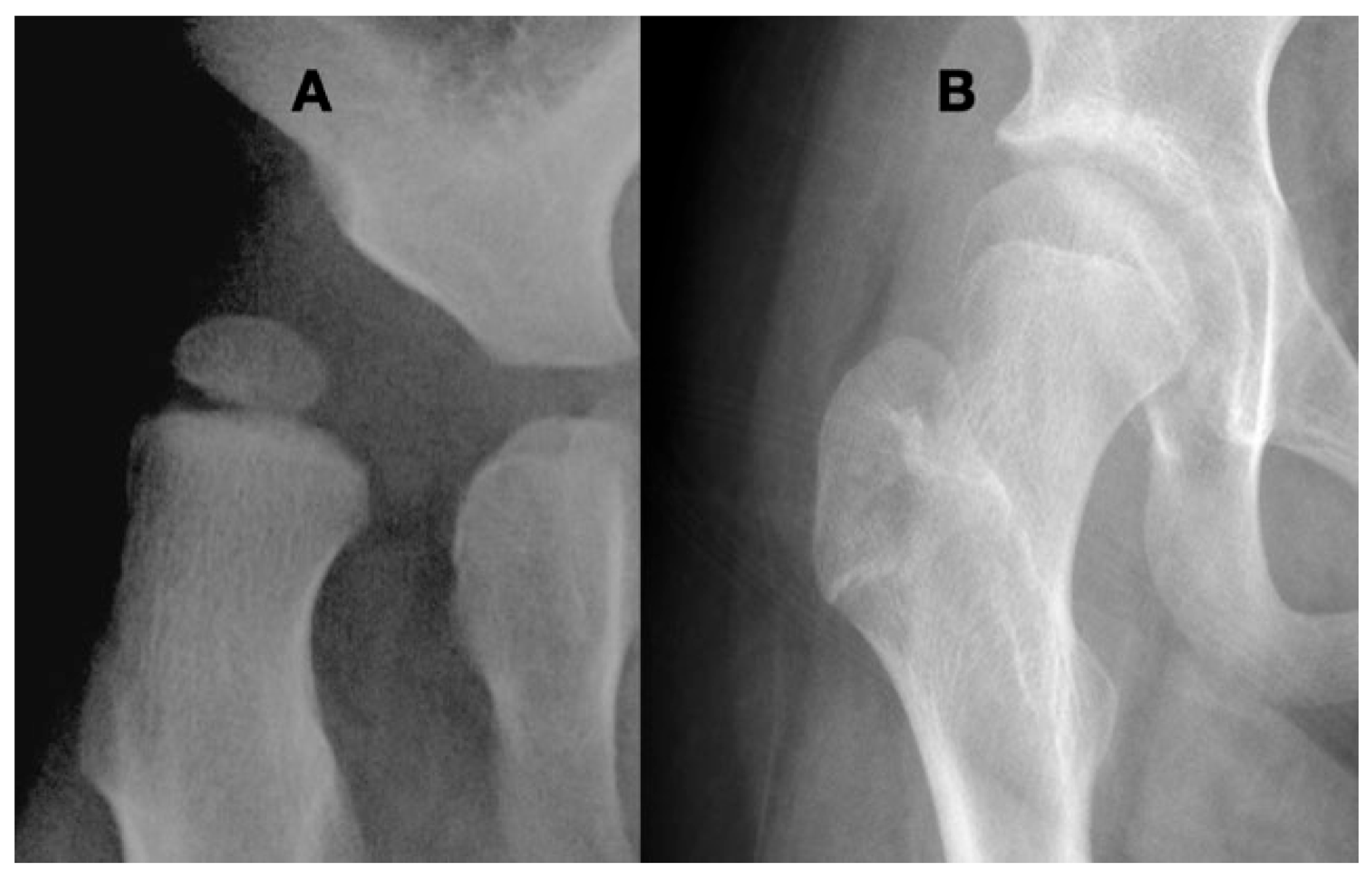 Children 11 00844 g012 Children 11 00844 g012