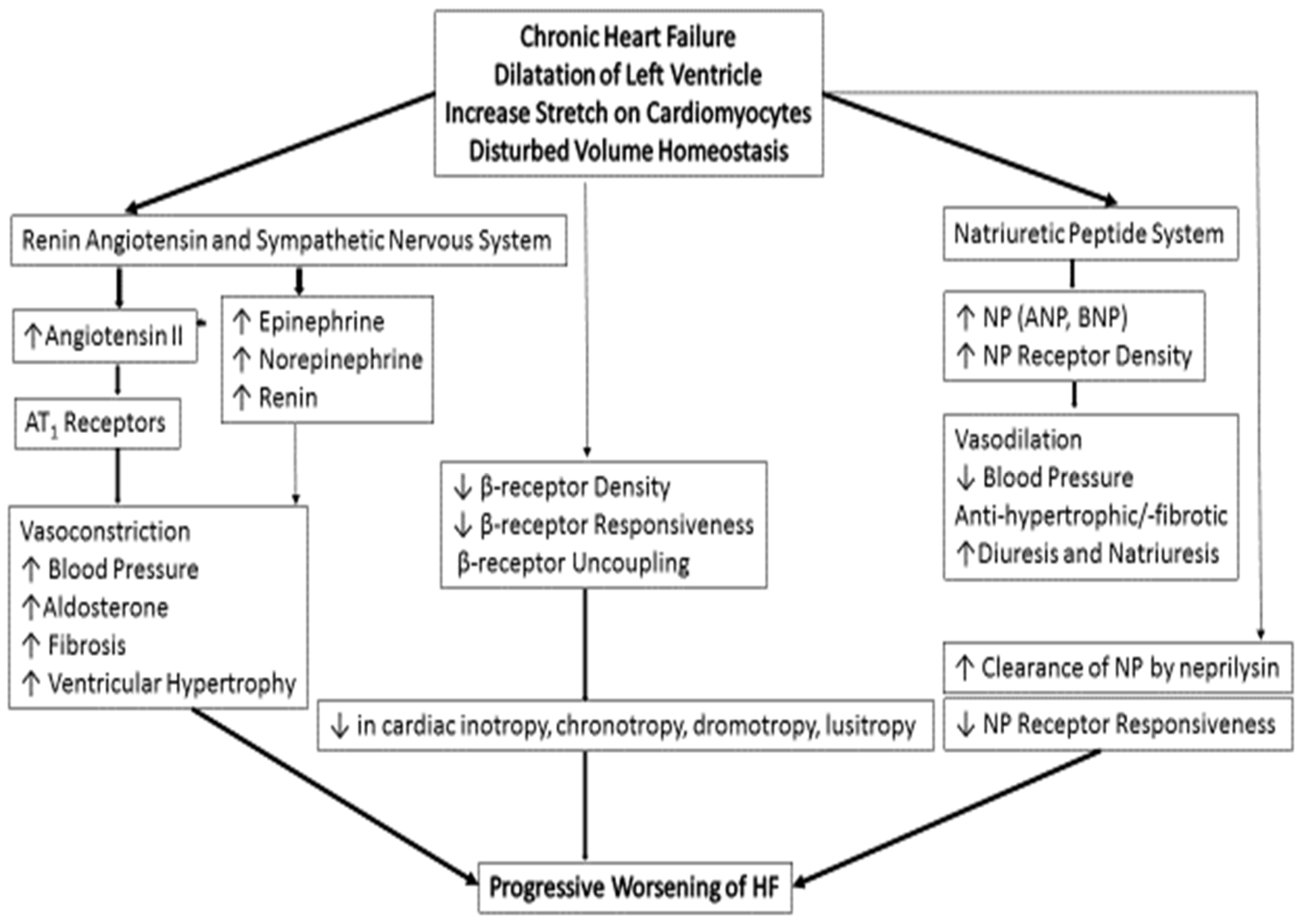 Children 11 00859 g001